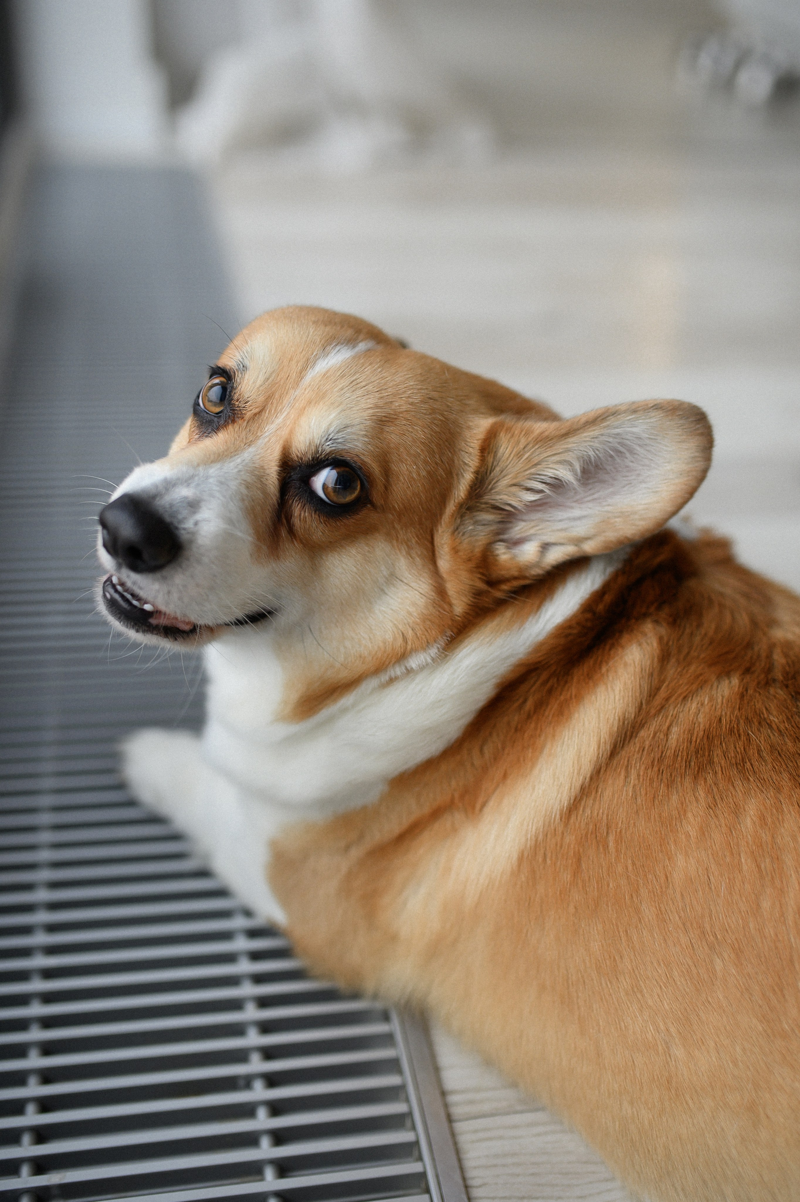 Юля, Леша, Майкл. Www.ostermiller.ru