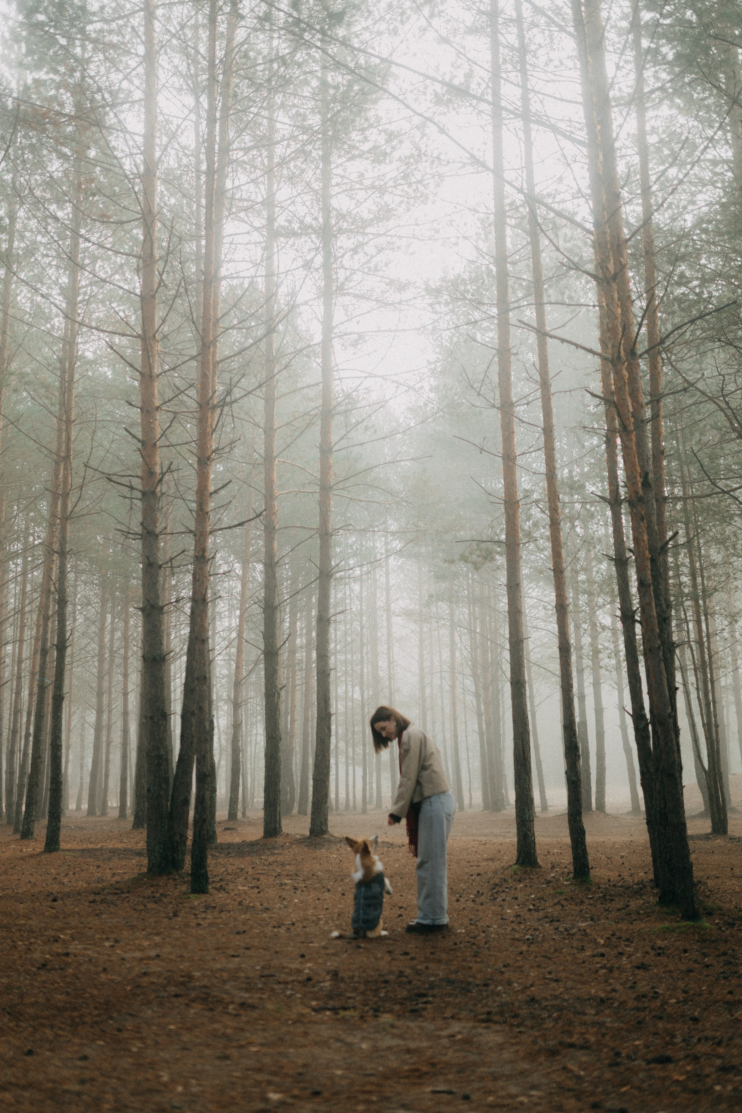 Алина. Фотограф НОГИНСК, Москва, Анастасия Белая