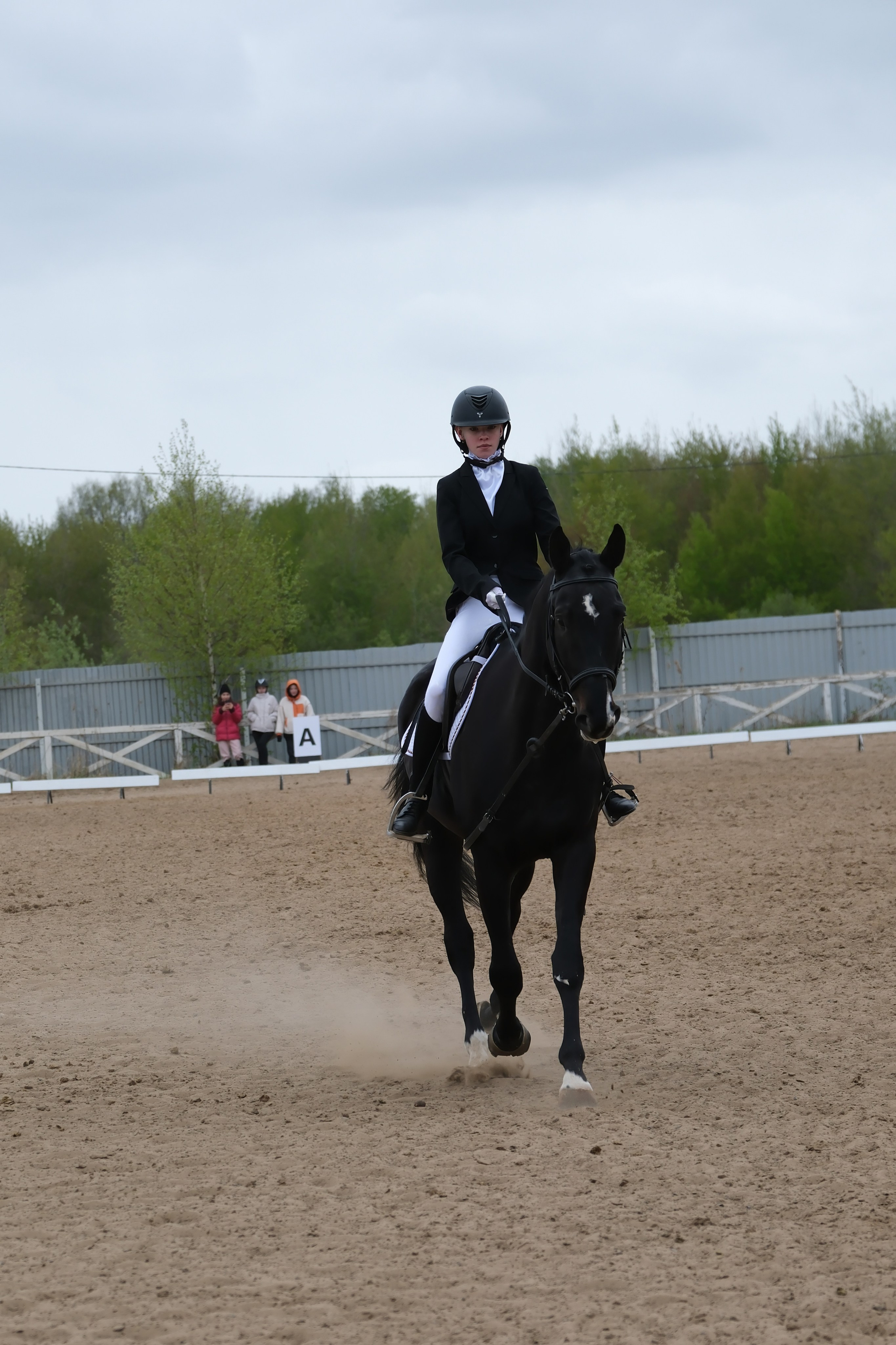 Соревнования по конному спорту в КСК «АЛЛЮР»!. Добро пожаловать в студию «Цифровой скульптор»  где искусство встречается с технологиями!