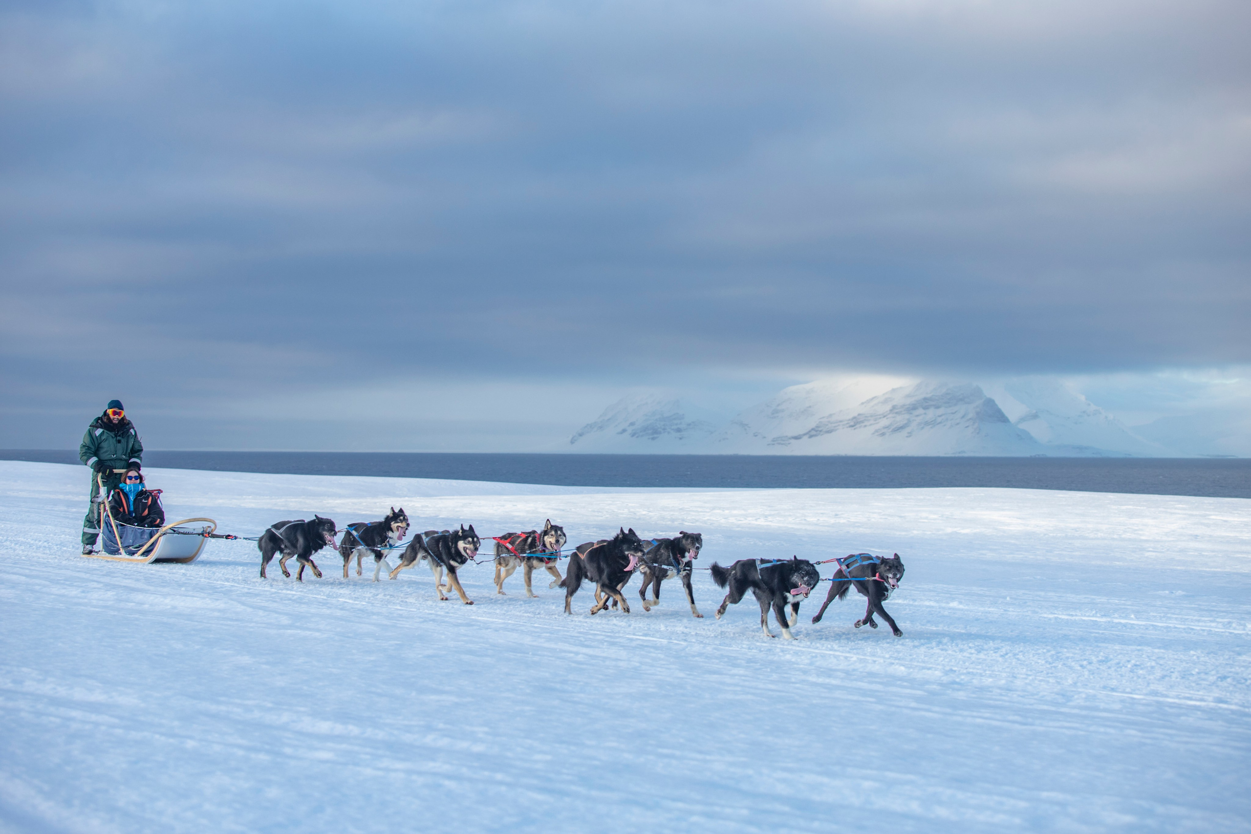 Архипелаг Шпицберген. Работа в Арктике. Фотограф Москва, Сергиев Посад
