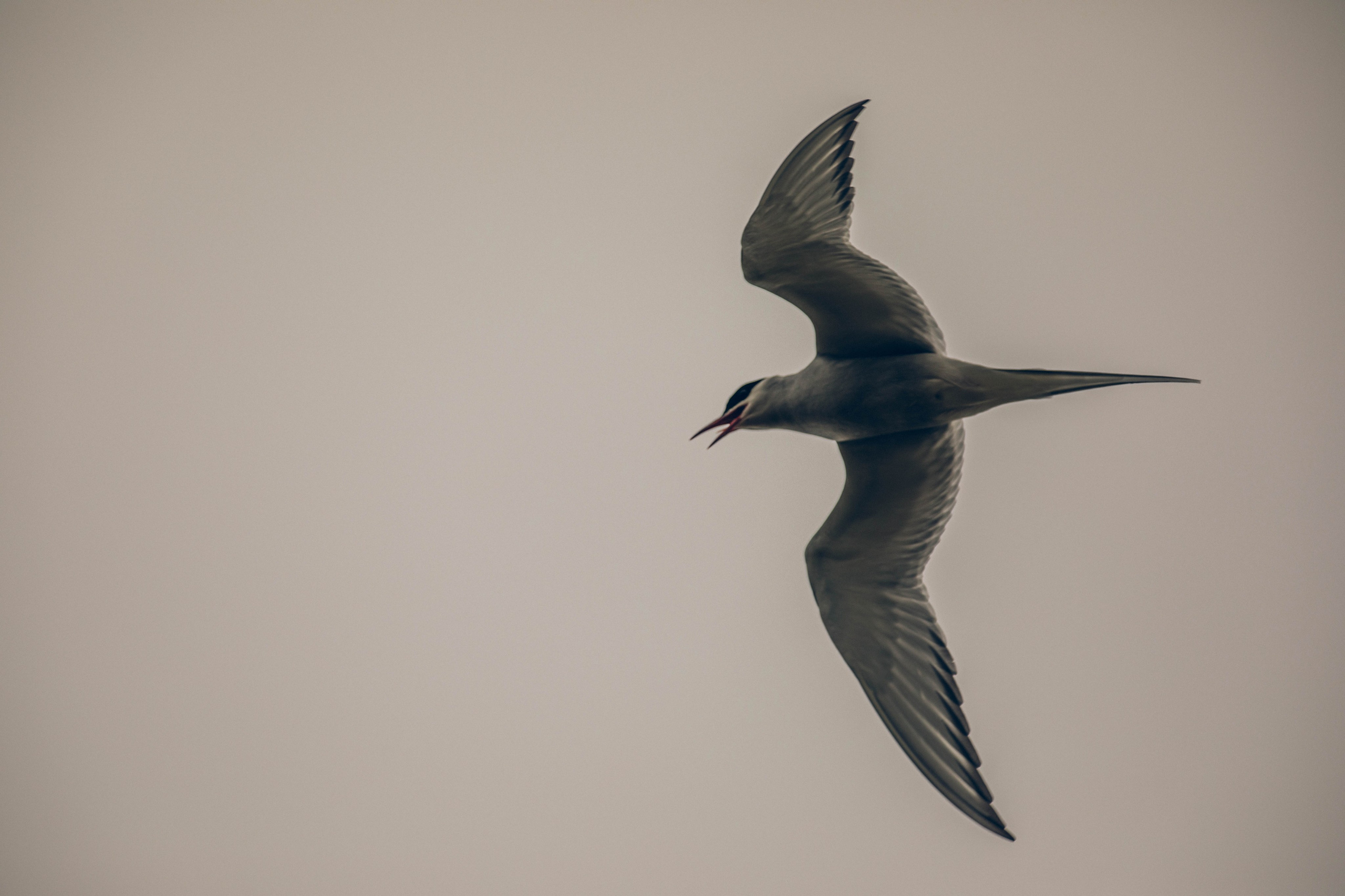 Кольский полуостров. Фотографирую для себя, своей семьи и друзей!