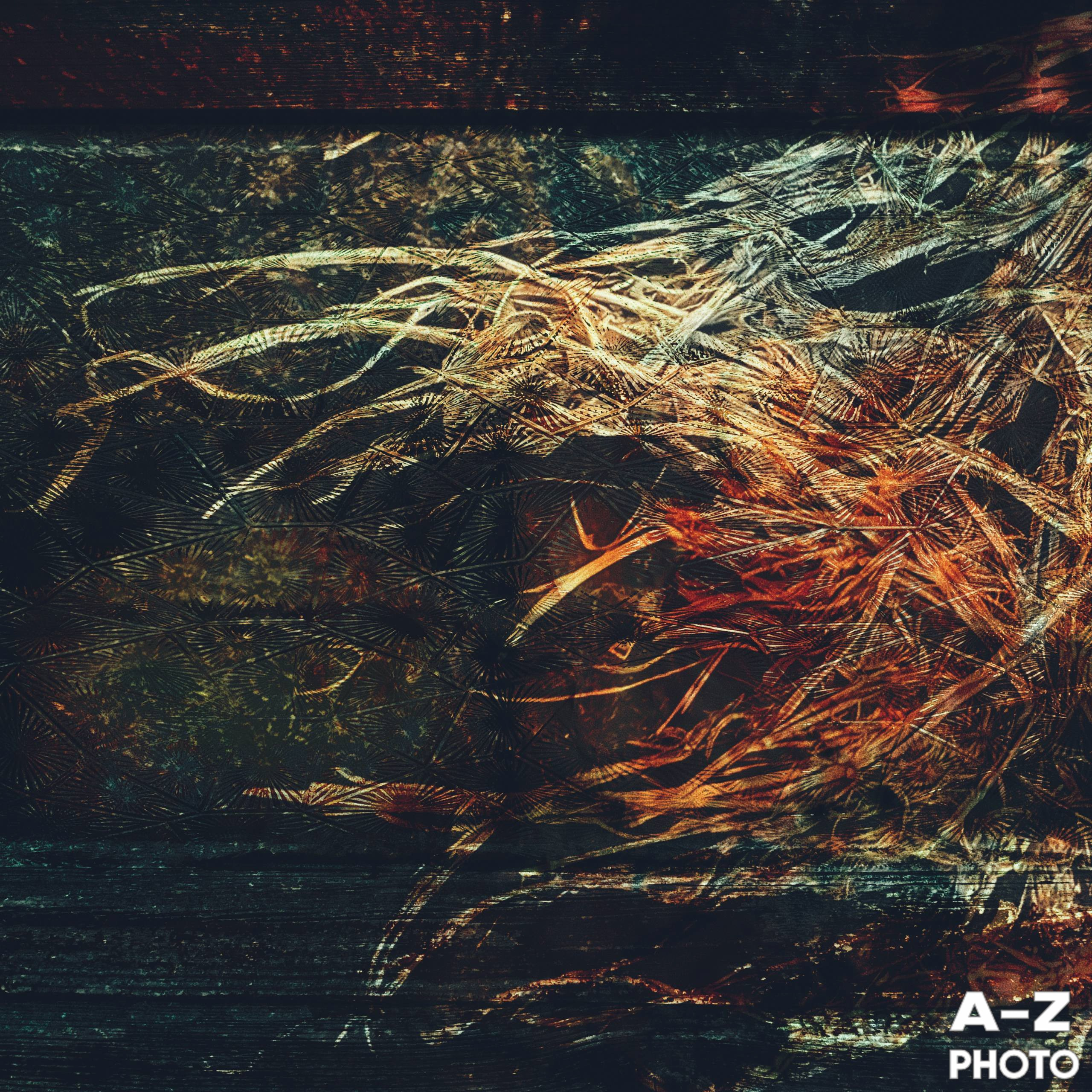 #ФОТОНЕДЕЛИ 13.04.2026. Женский семейный фотограф Тула Москва Захарова Анна