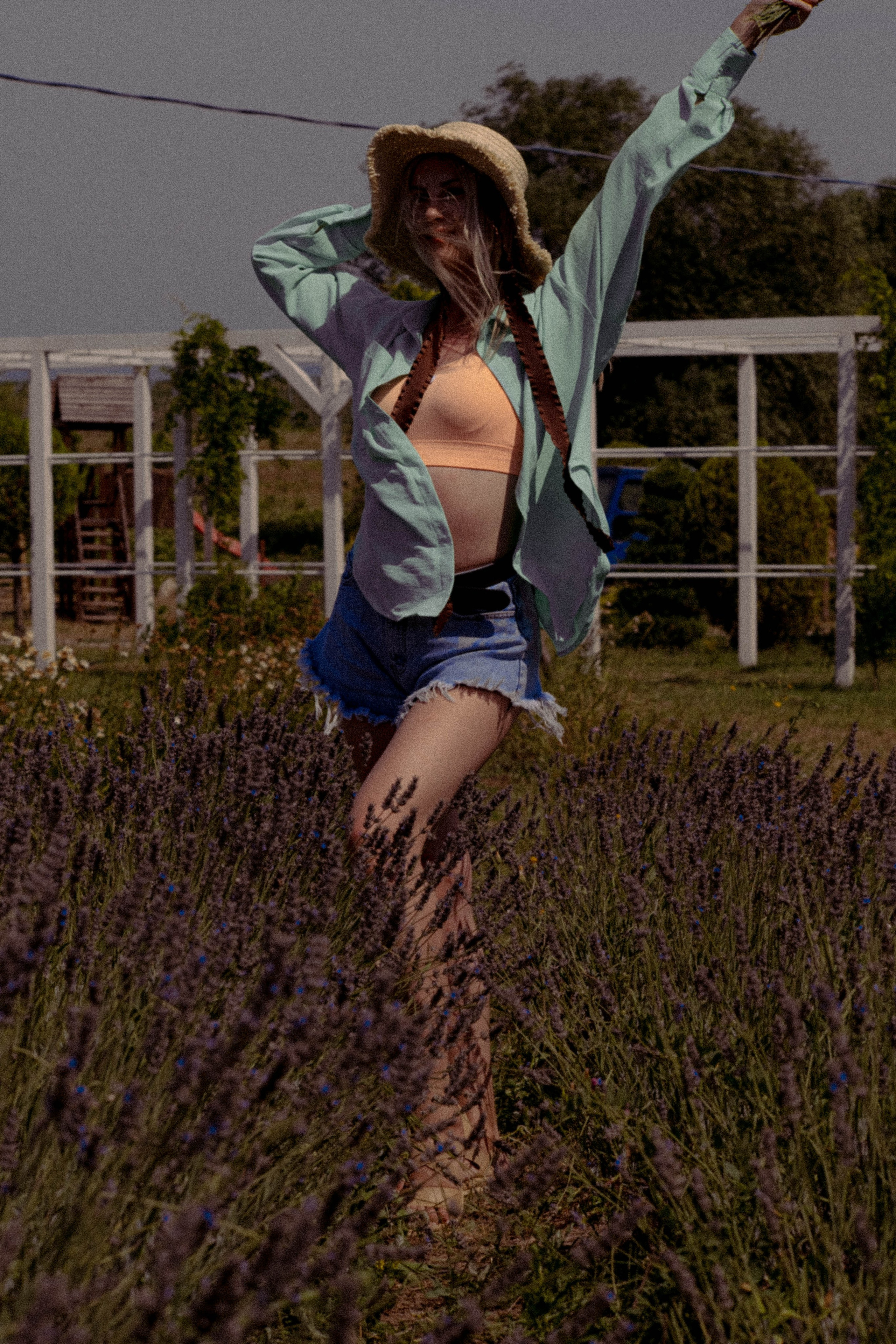 ЛАВАНВОДОВОЕ ПОЛЕ. Профессиональный фотограф, Санкт-Петербург — Виктория Богомолова