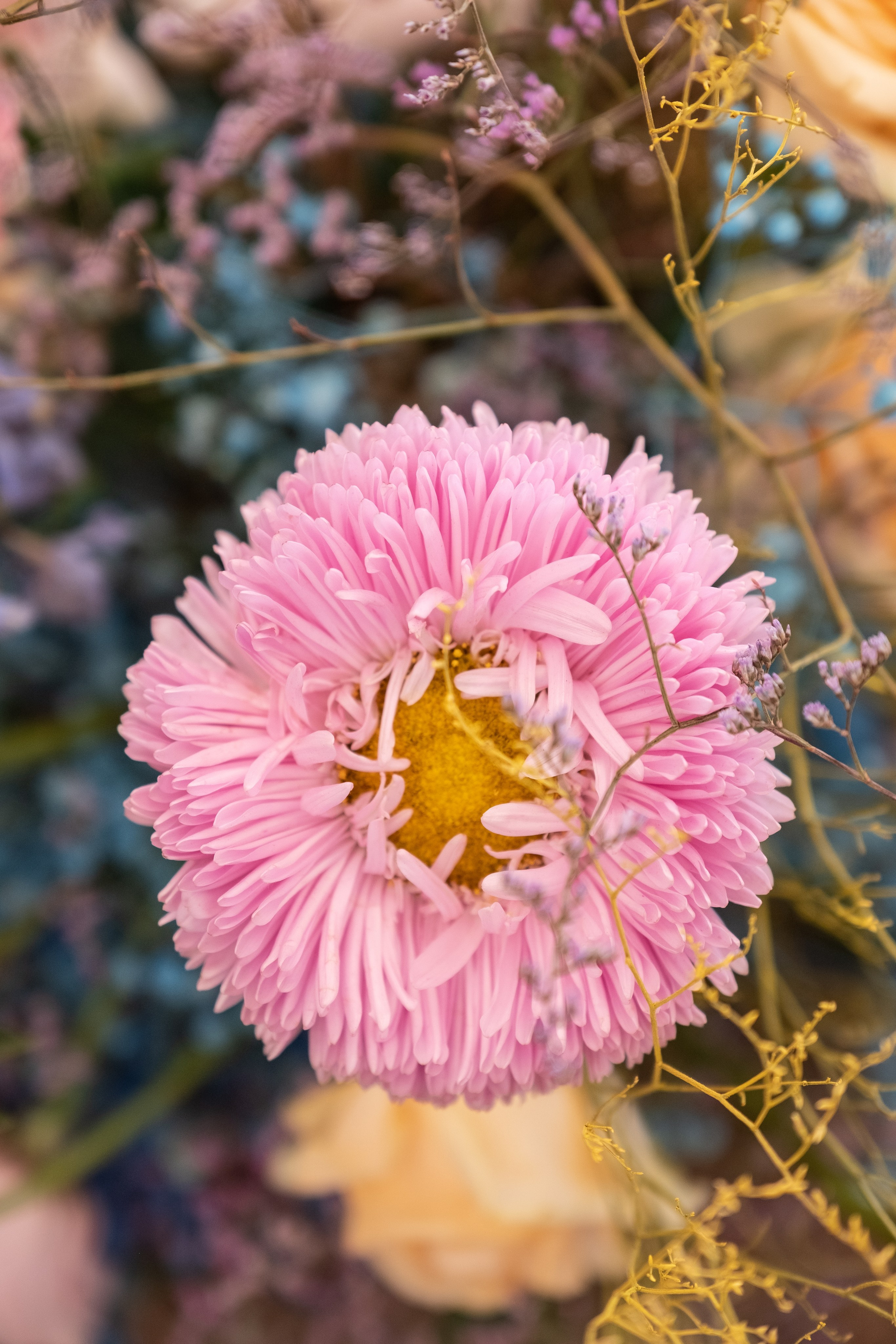 Фестиваль чувств. Свадебный Видеограф Фотограф в Сочи
