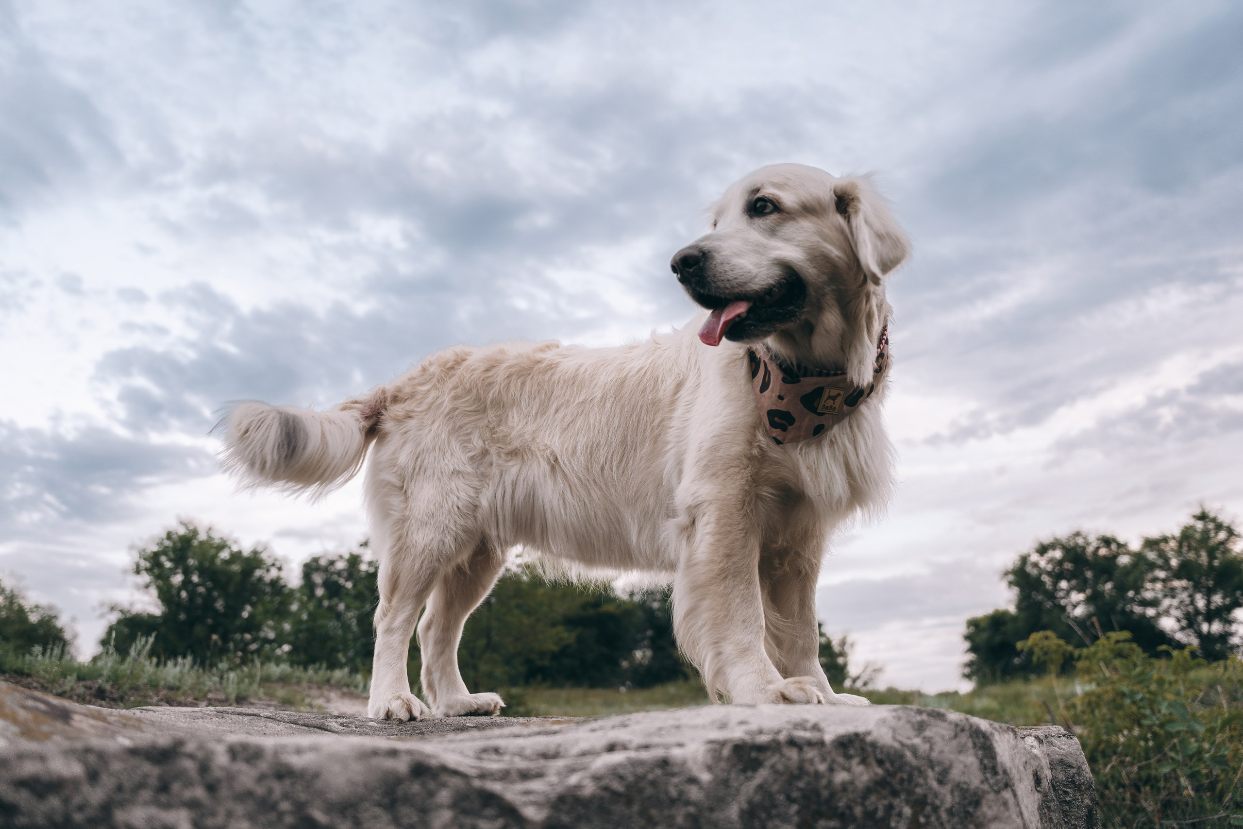 Ира и Барселона: история с кодовым названием «обложка VOGUE». Портретный и репортажный фотограф в Воронеже: Анастасия Пузикова