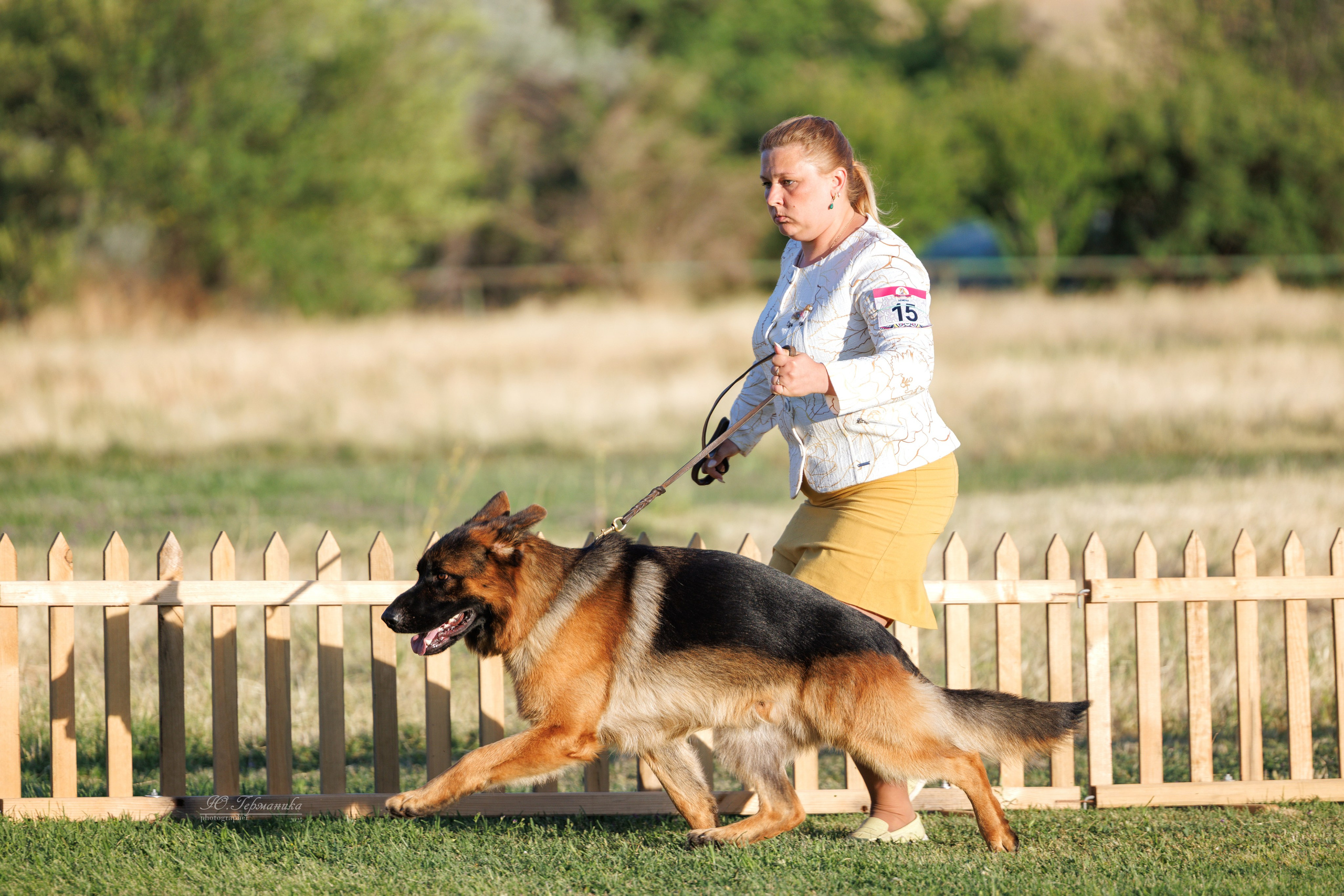 Ереван 3хCACIB 23-25.06.2025. Фотограф-анималист Юлия Германика