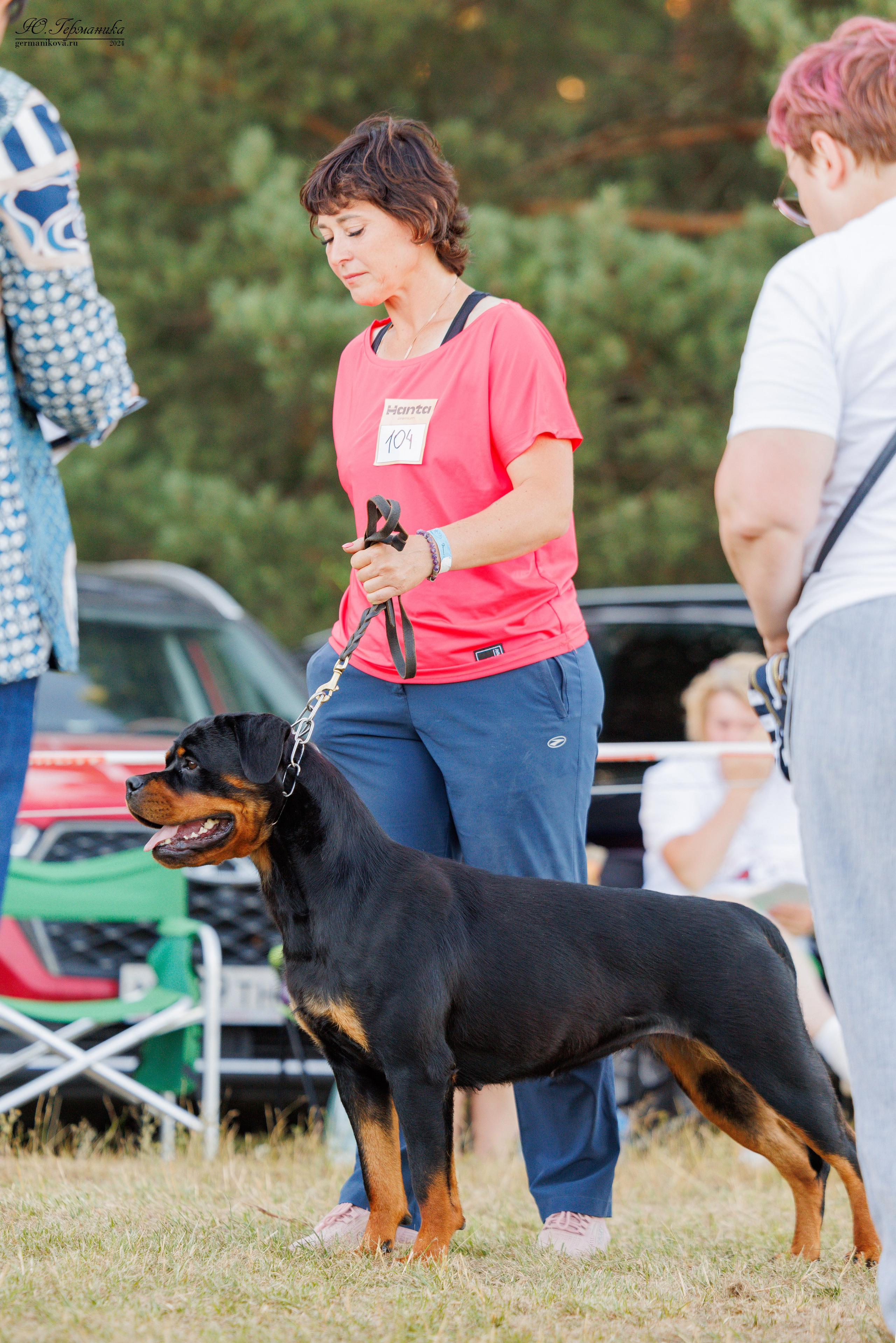 ПК и КЧК ротвейлеры Тверь 6-7.07.2024. Фотограф-анималист Юлия Германика