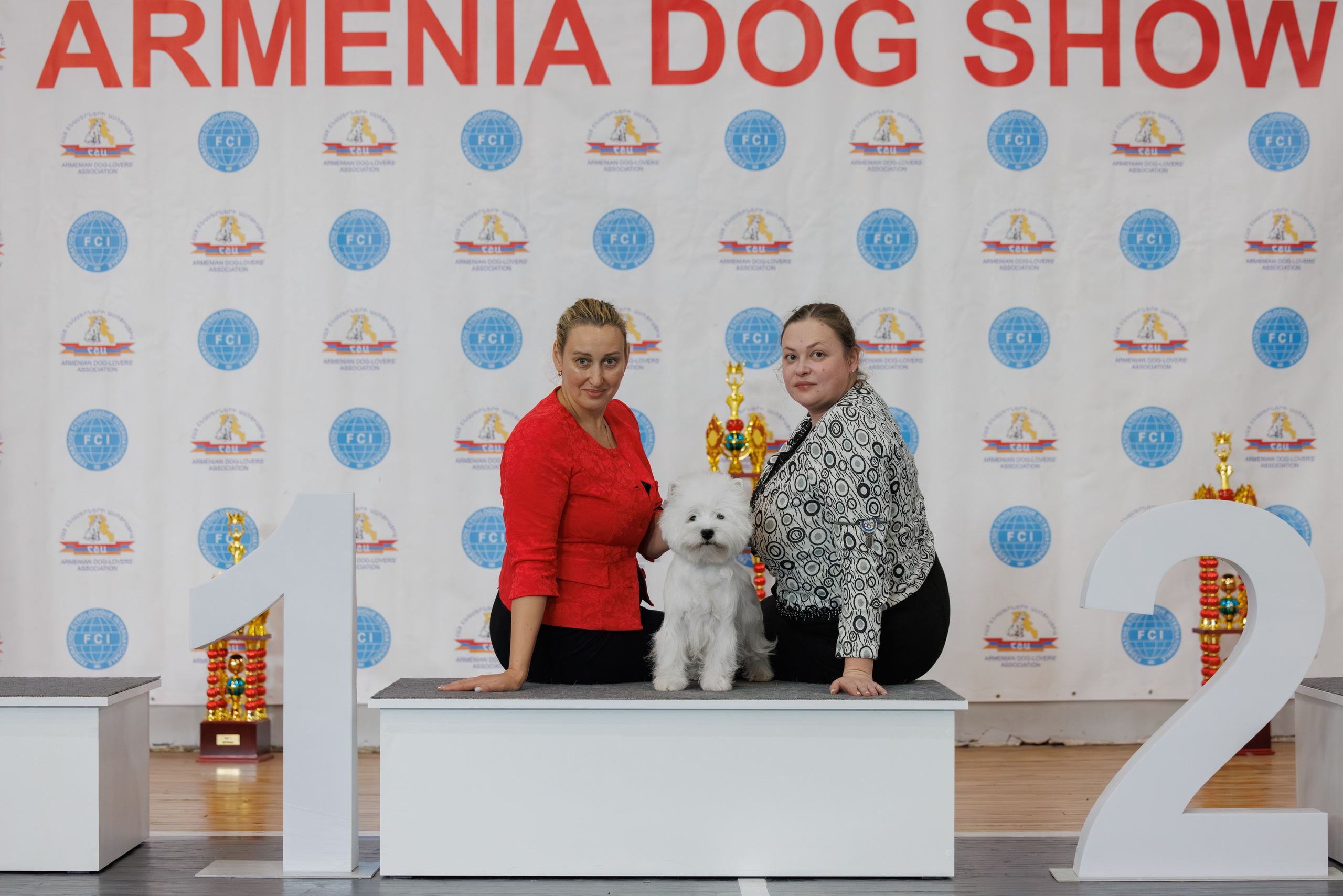 Ереван 2х CACIB 29-30.04.2025. Фотограф-анималист Юлия Германика