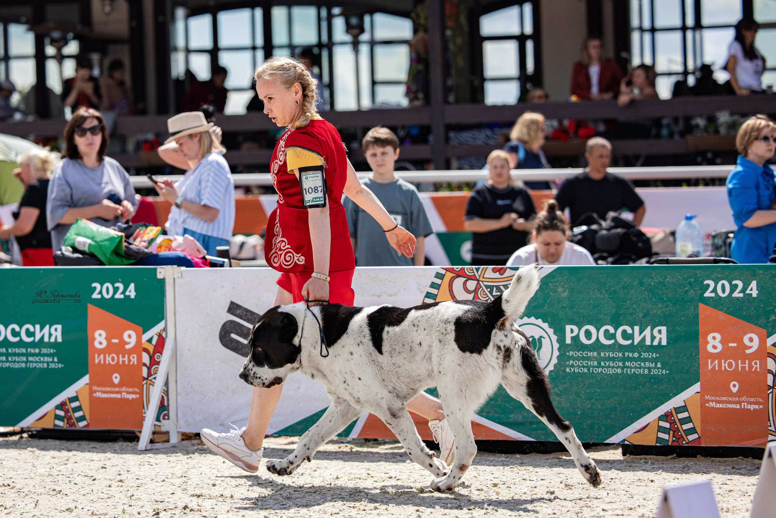 РОССИЯ 8-9.06.2024. Фотограф-анималист Юлия Германика