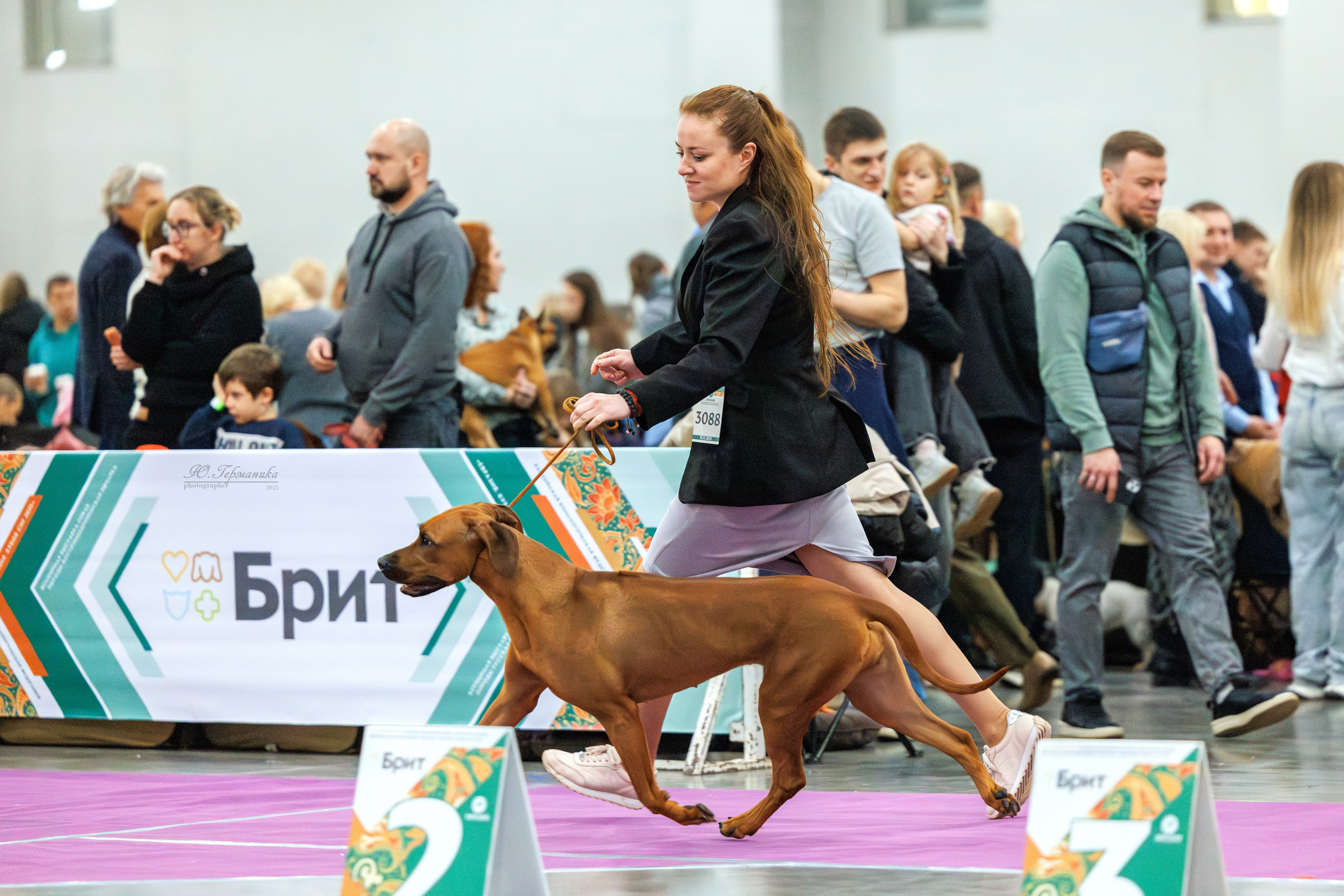 Евразия 15-16.11.2025. Фотограф-анималист Юлия Германика