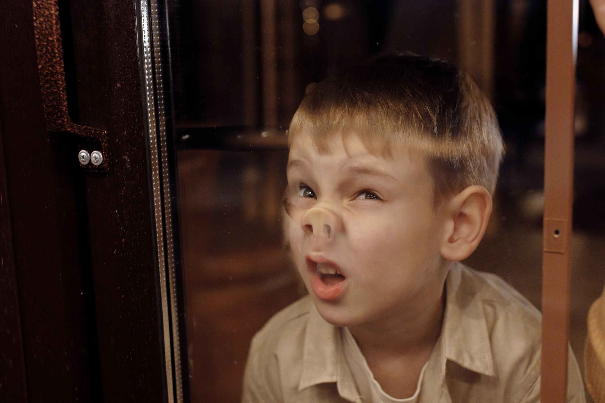 Новогодняя студия 23. Фотограф, видеограф