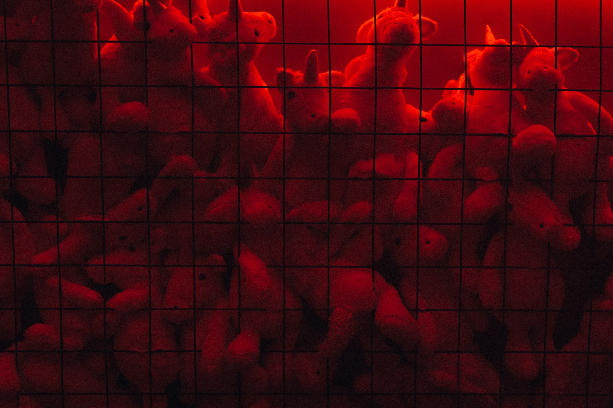 Частные мероприятия. Главная