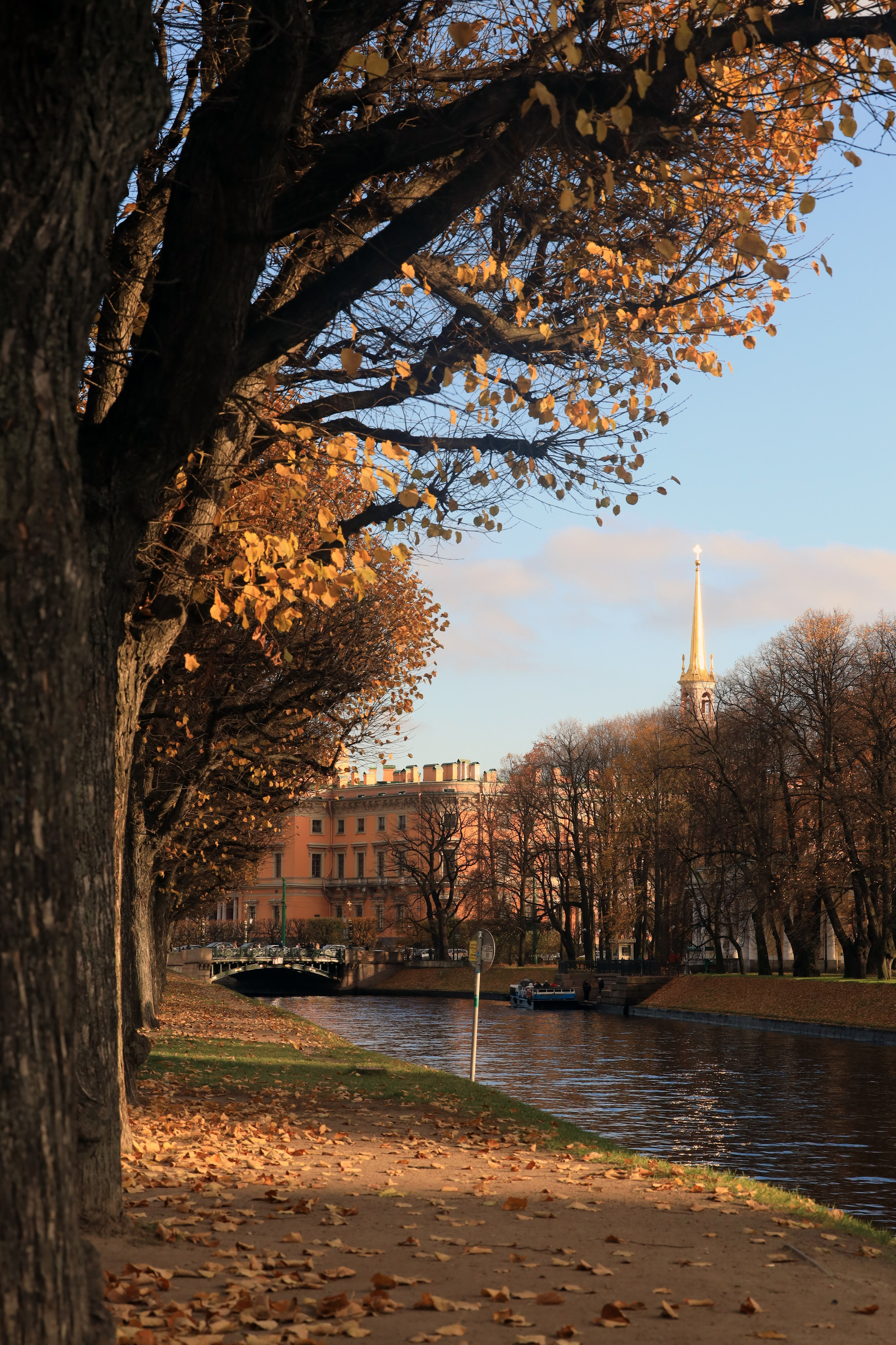 Мир вокруг нас. Разное. Фотограф Наталья Кузьмик г. Красноярск
