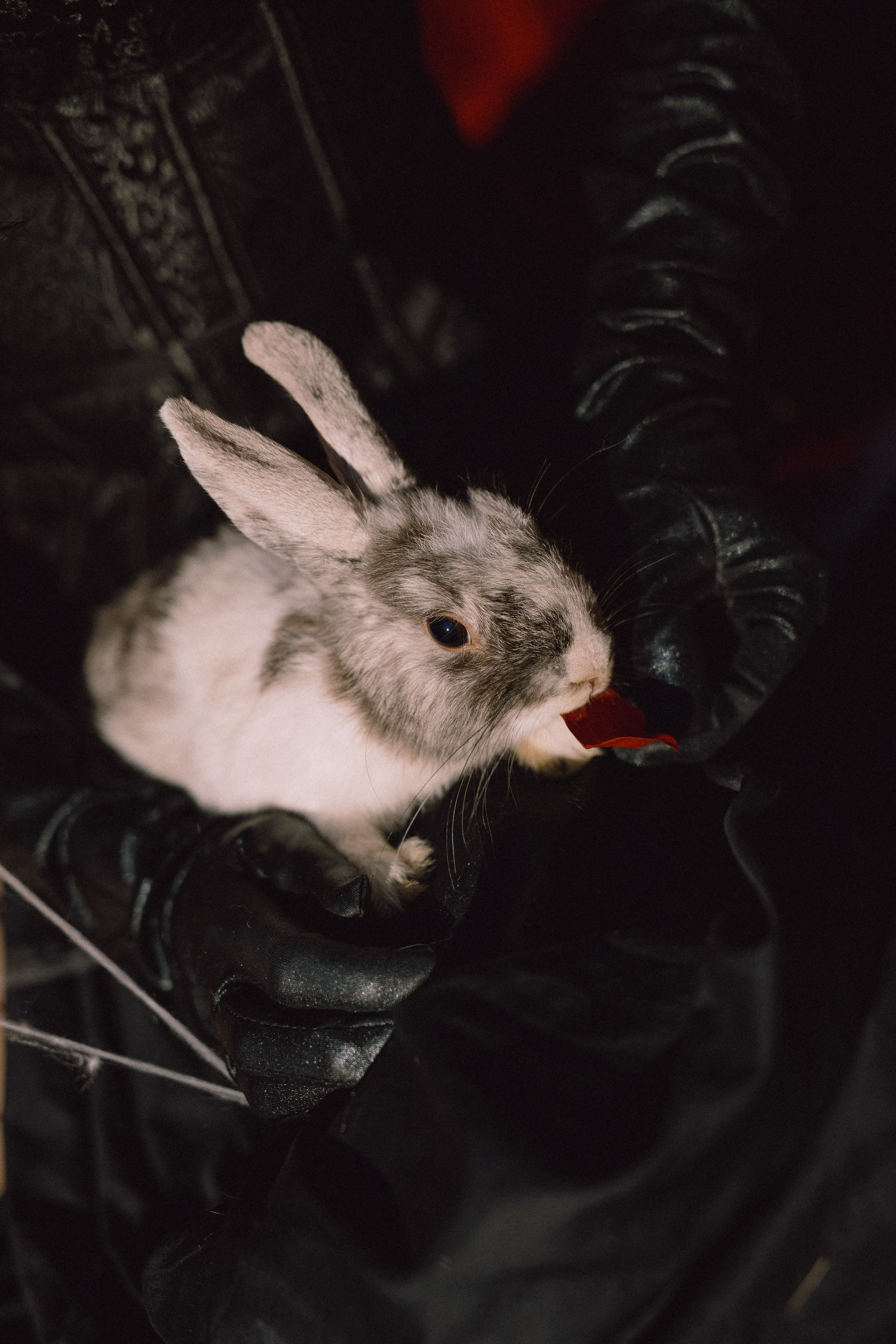 Наташа. Свадебный и семейный фотограф в Тамбове и Котовске Артём Комбаров