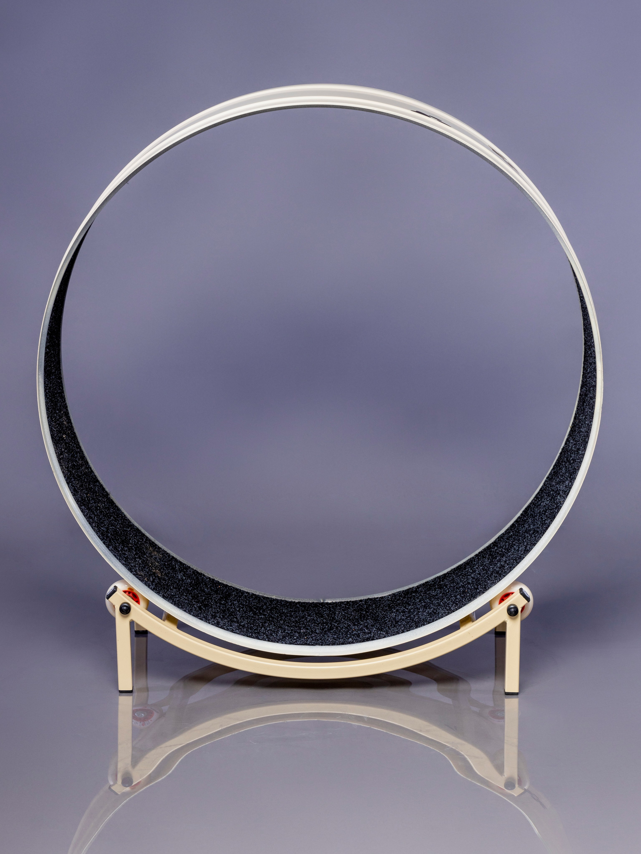 Беговая дорожка для кошки. Фотограф в Туле Крупский АнДРей. Фотостудия «КАДР71» в Туле