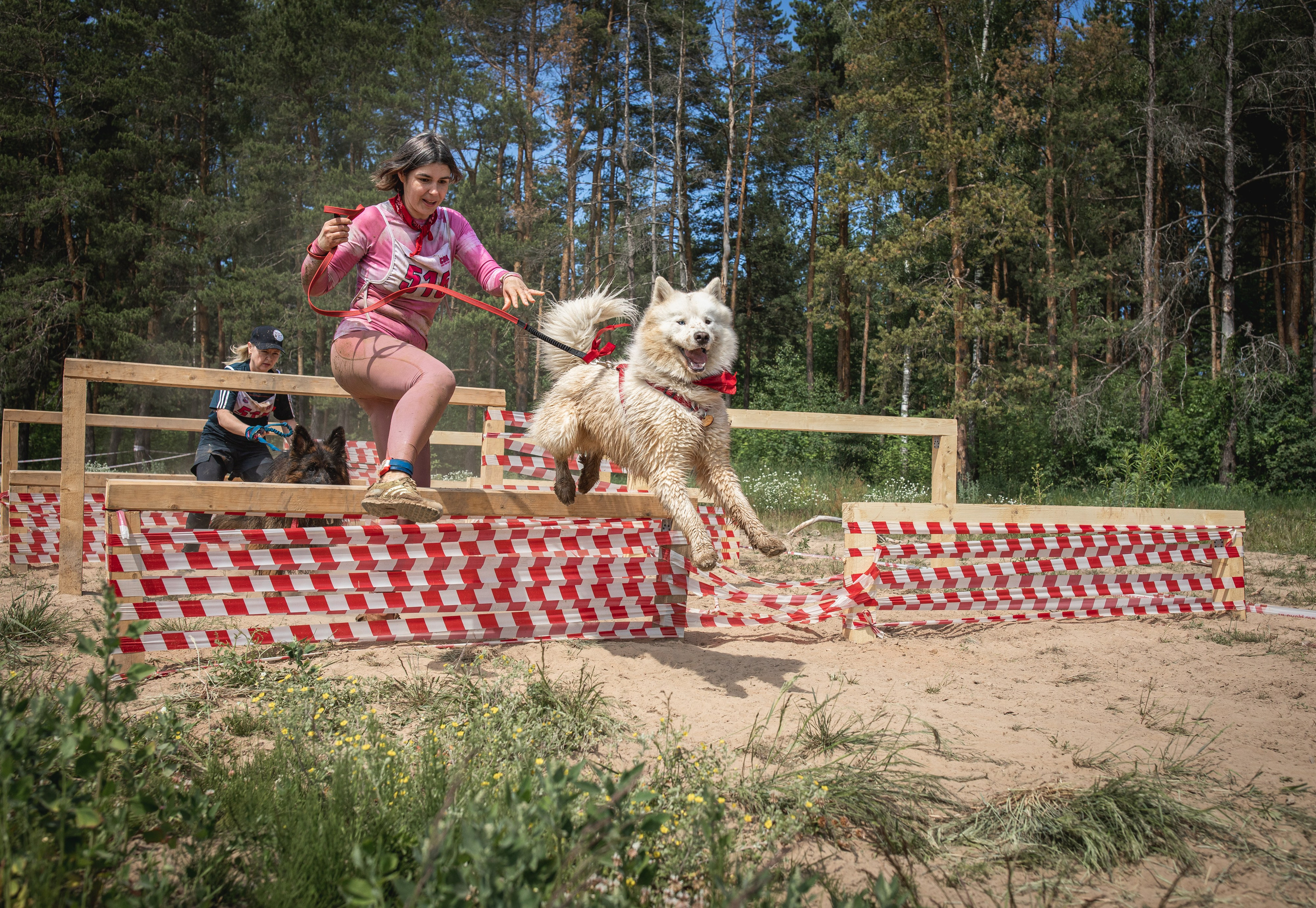 Репортажная съёмка спортивных мероприятий. ESHE_PHOTO Фотограф анималист в Москве и Московской области