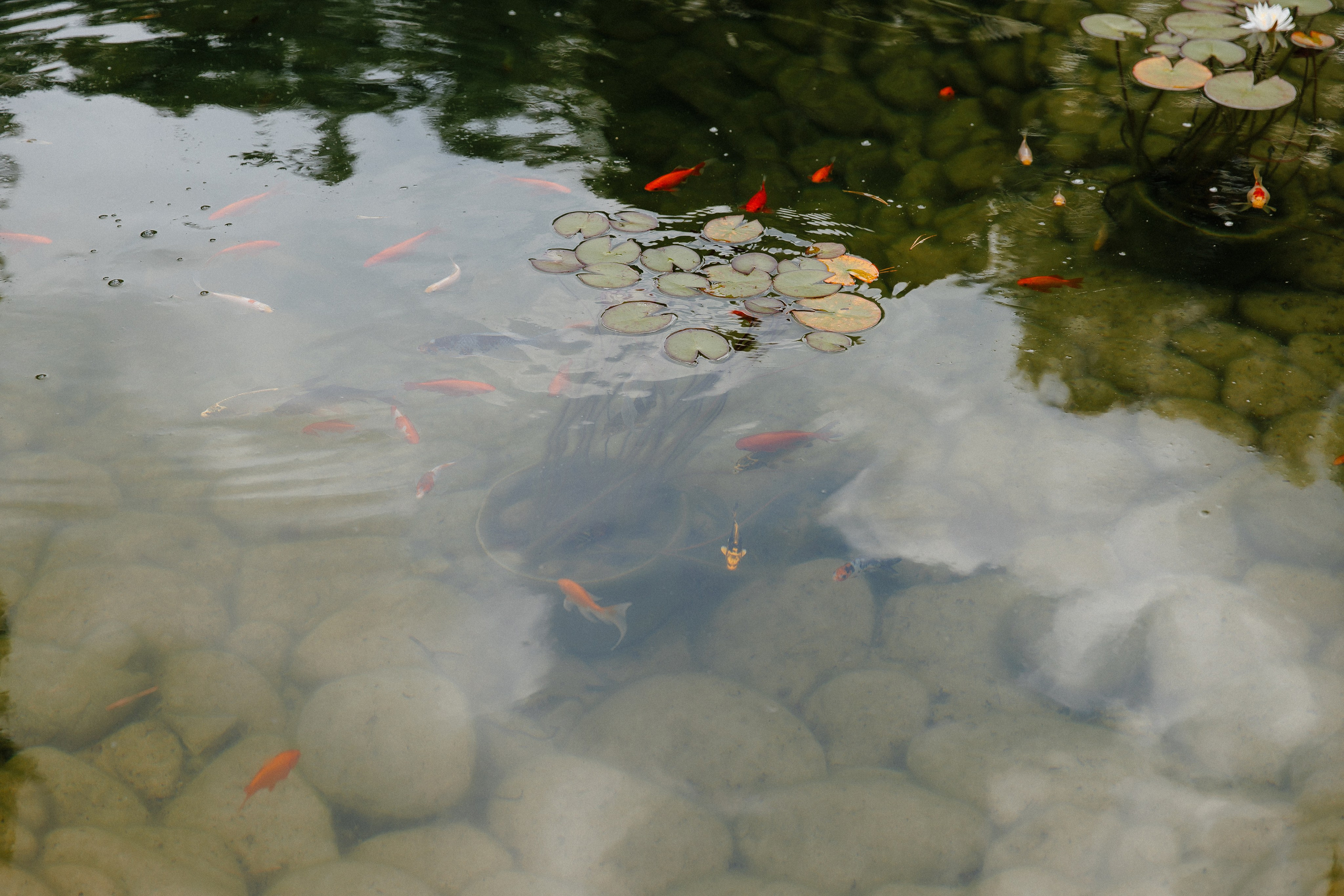 Дарья и Иван. Фотограф Петр Капралов