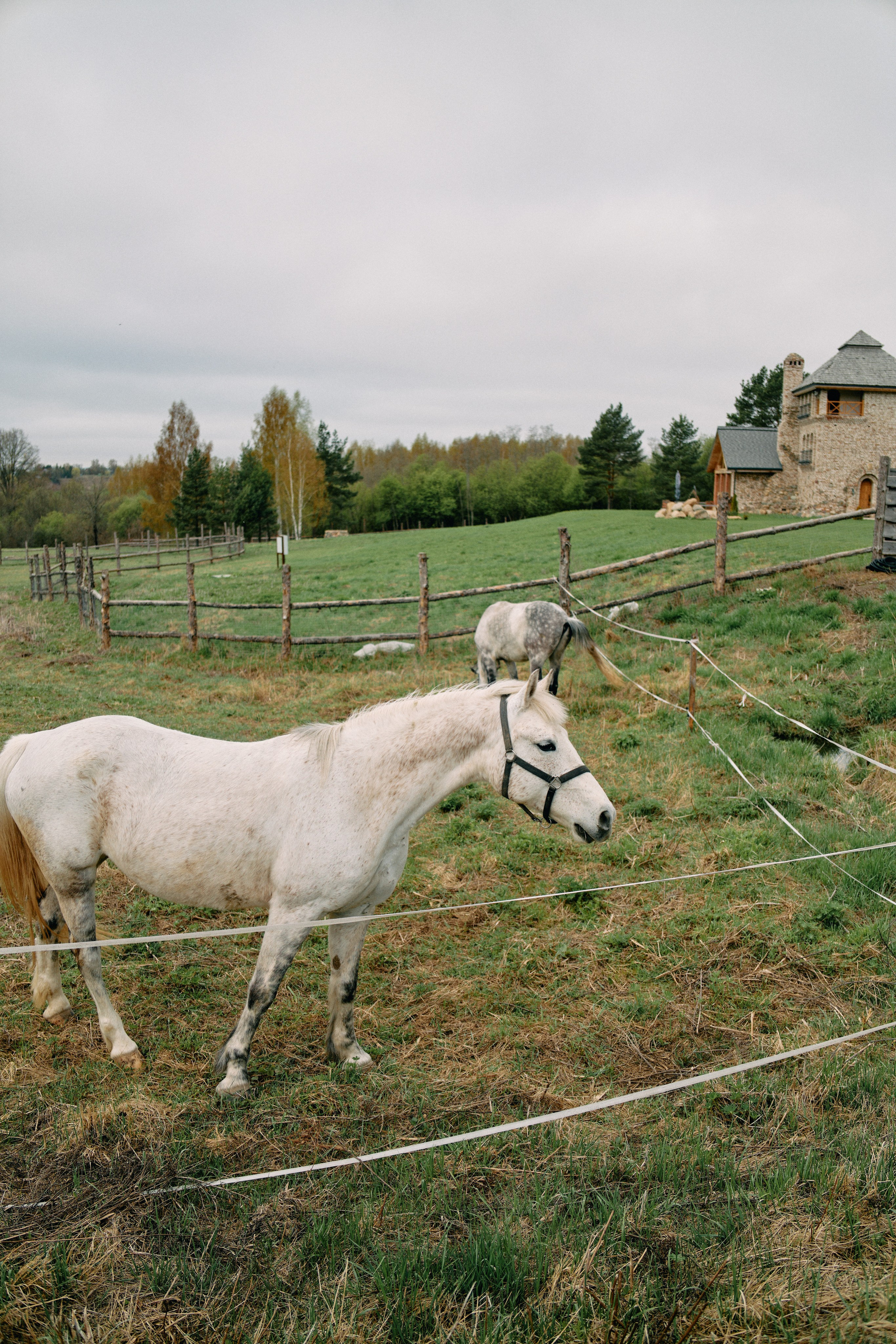 Бутик-отель Поле летом. Профессиональный Фотограф во Владимире, в Москве и в Суздале — Полина Романычева