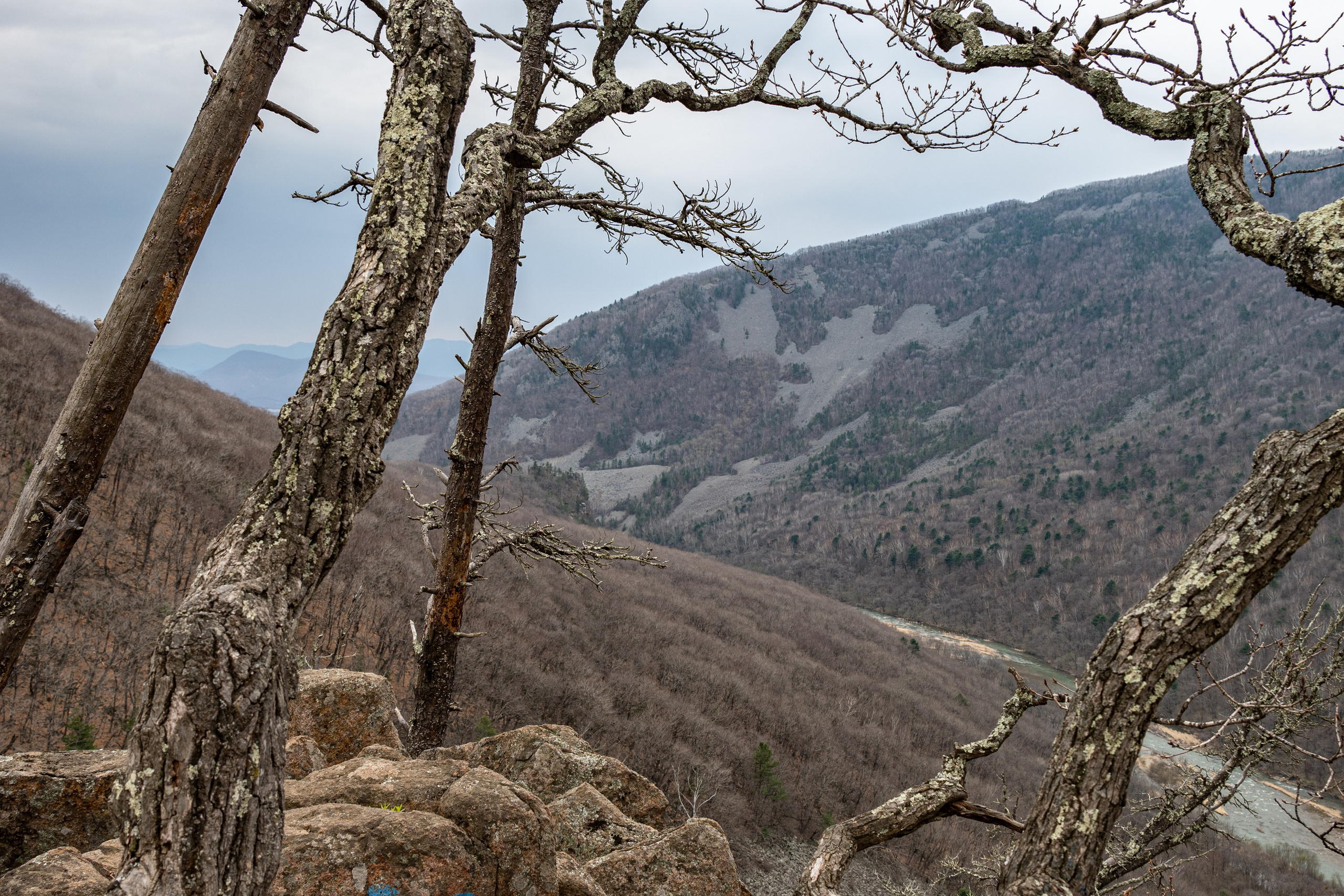 Ущелье Дарданеллы. Репортажный и портретный фотограф во Владивостоке Денис Седов