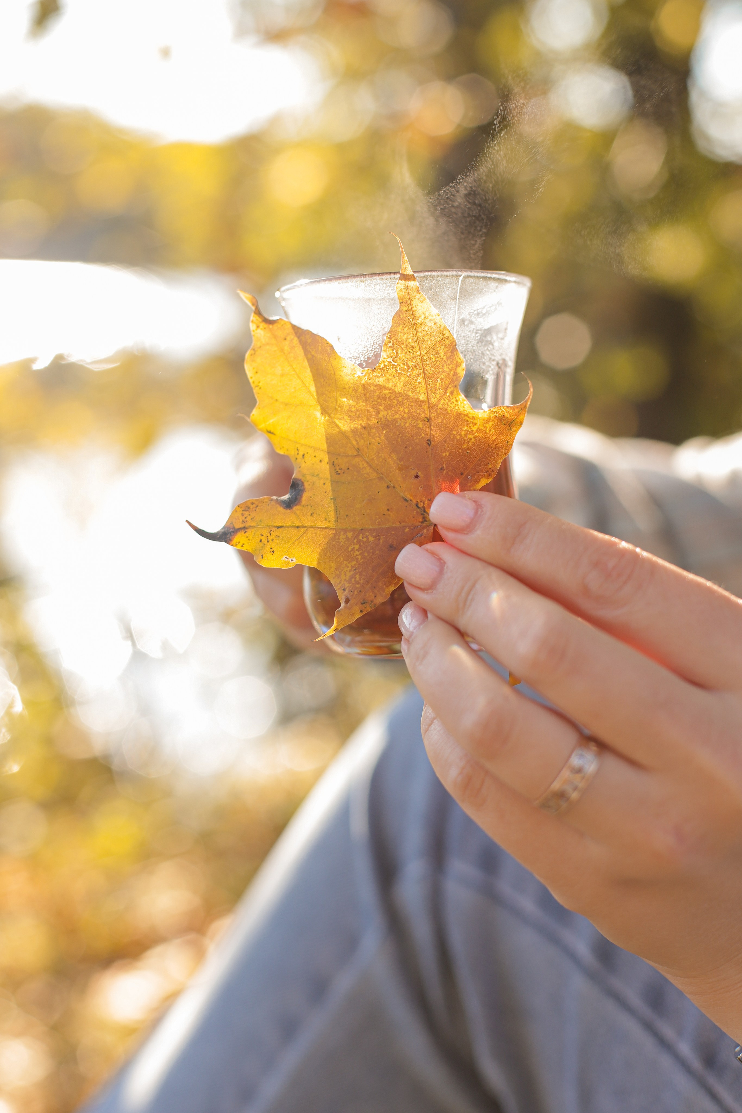 Осенний пикник у озера. Диана Николаева — фотограф город Балашиха