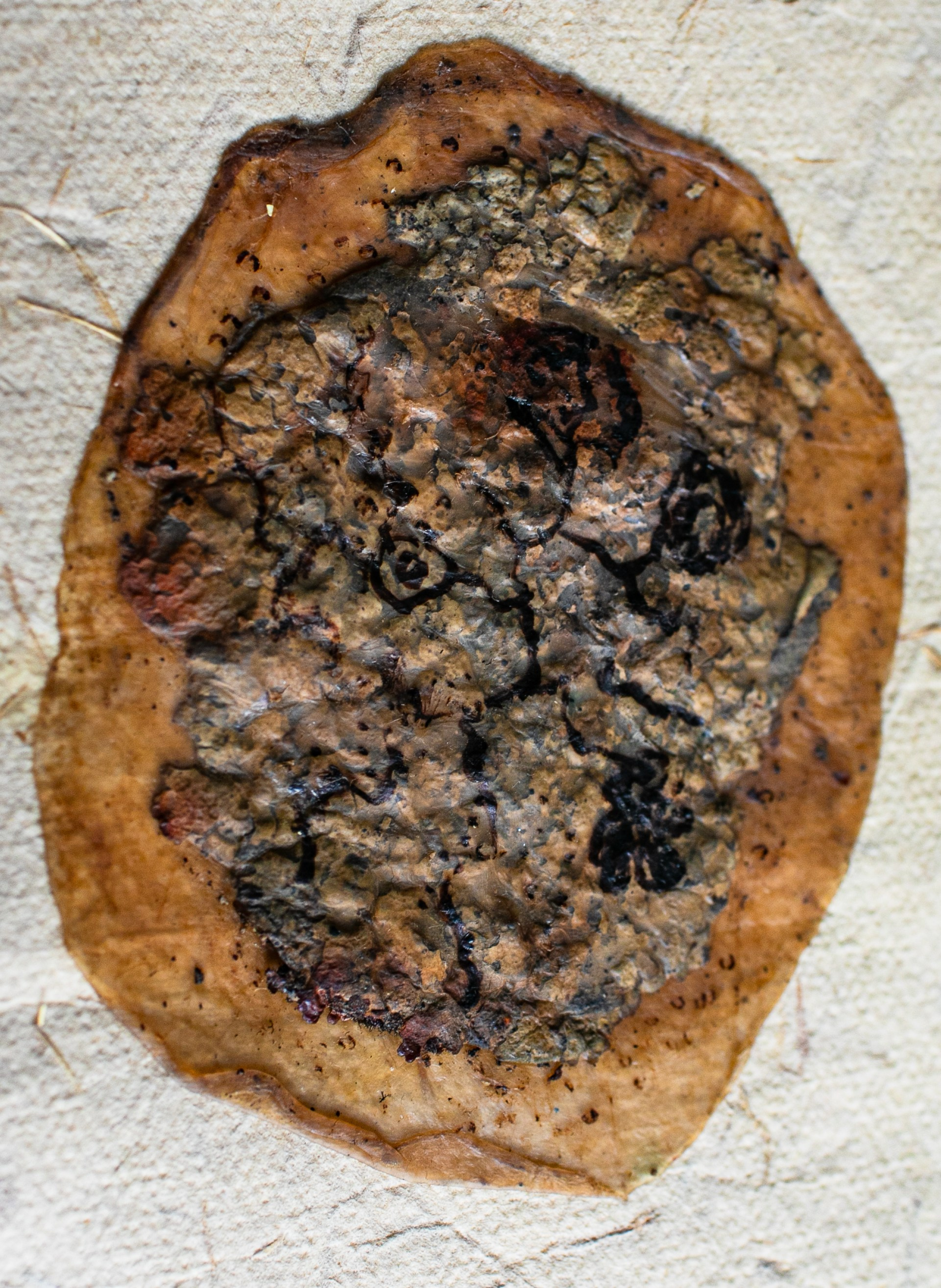 КНИГА ХУДОЖНИКА. СОВРЕМЕННЫЙ ХУДОЖНИК ОЛЬГА АНДРИЯШ