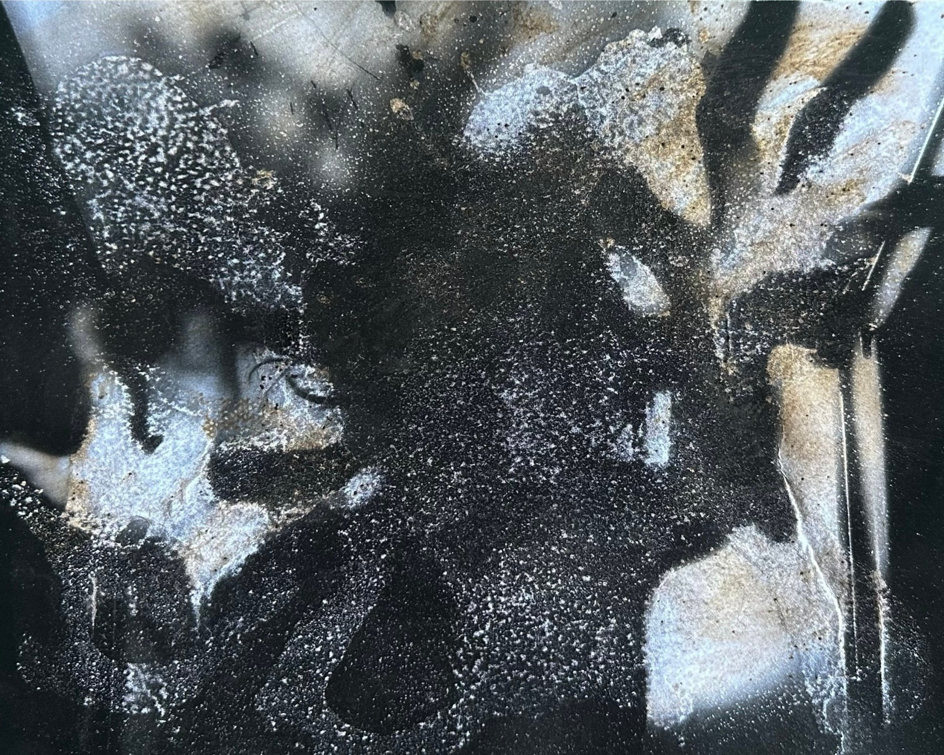 TRANSFORMATION. Uvaliss | Alice Feer