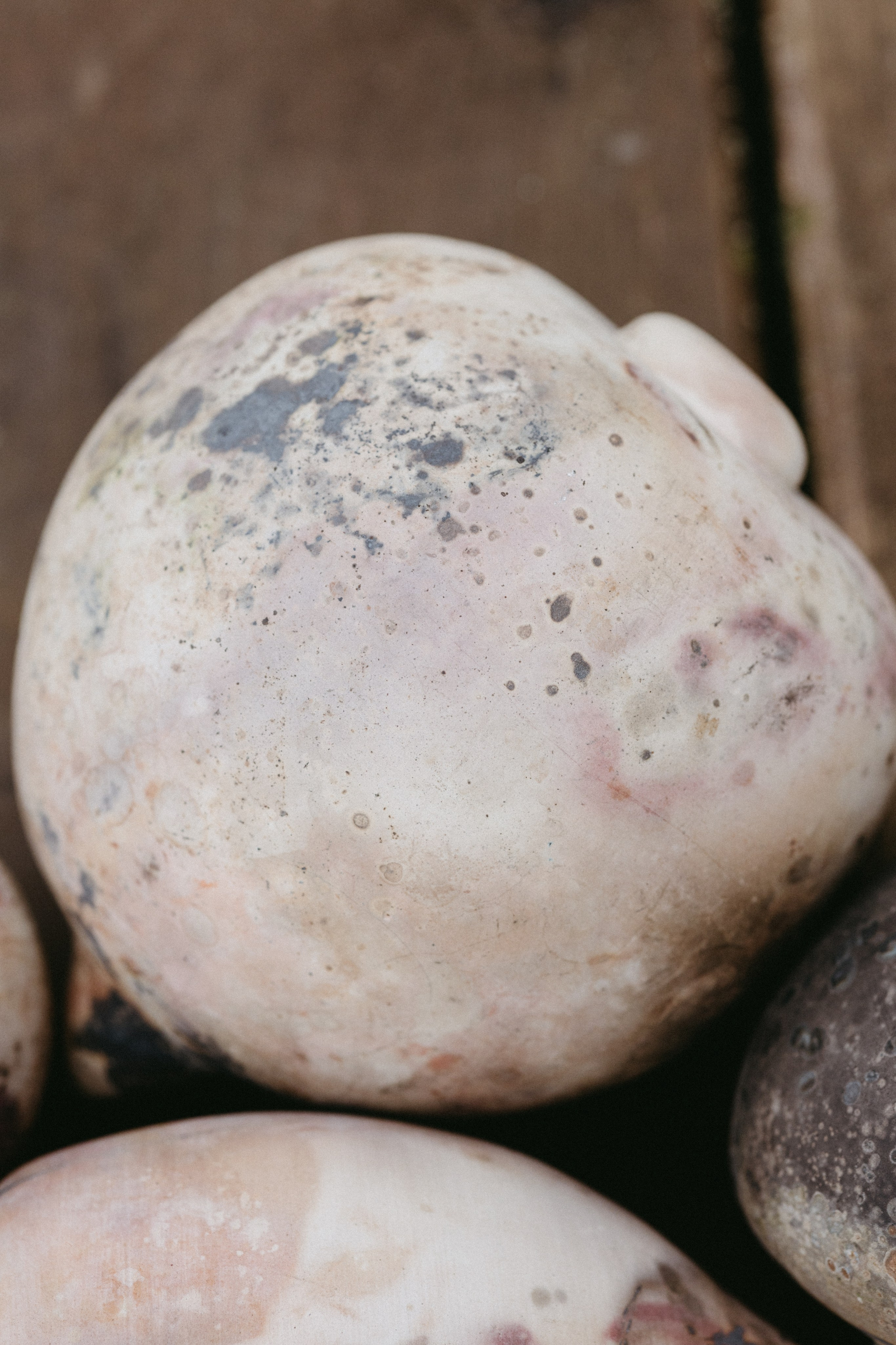 Новые земли. Про любовь