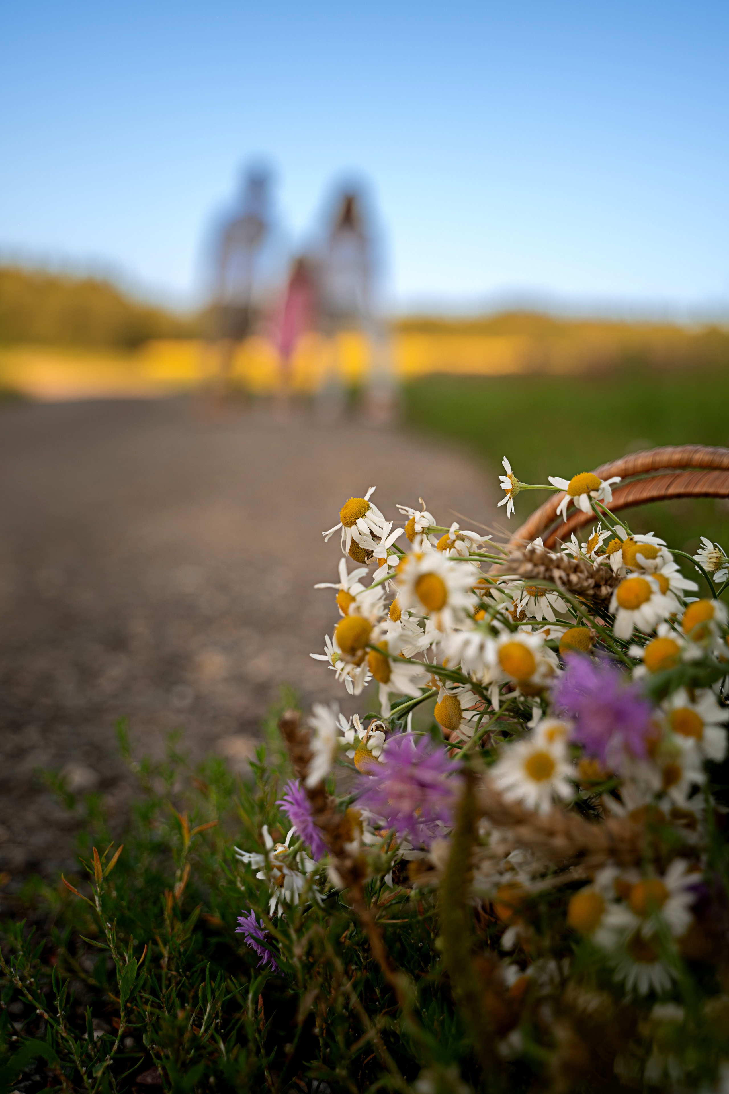 Поле для троих. Выпускные альбомы Москва и МО. Школьный и семейный фотограф