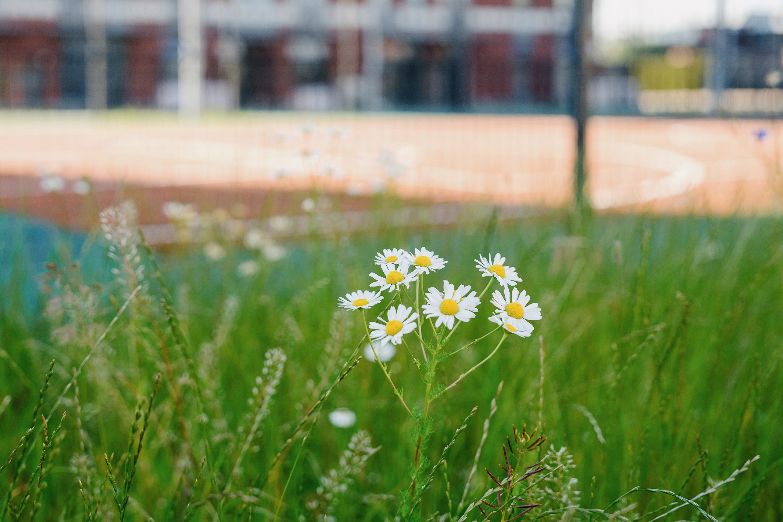 ЛСР — ЖК Морская миля. Асхат Бардынов