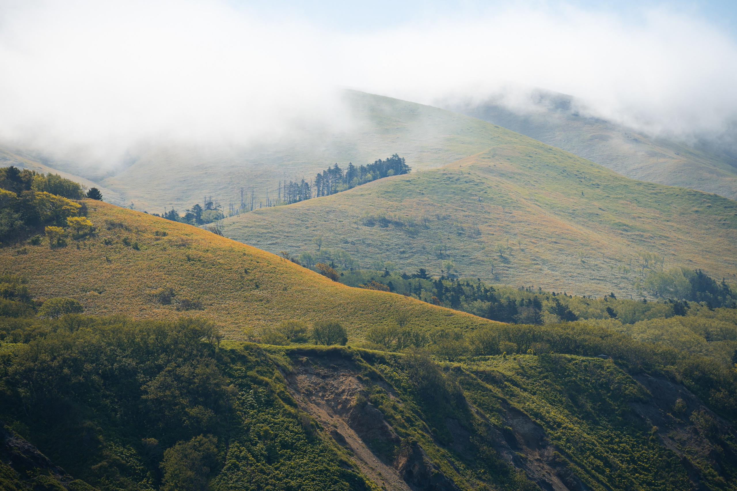 游览阿尼瓦灯塔. Ivan Zaitsev (IZIART) — 通过照片和视频创建文化代码