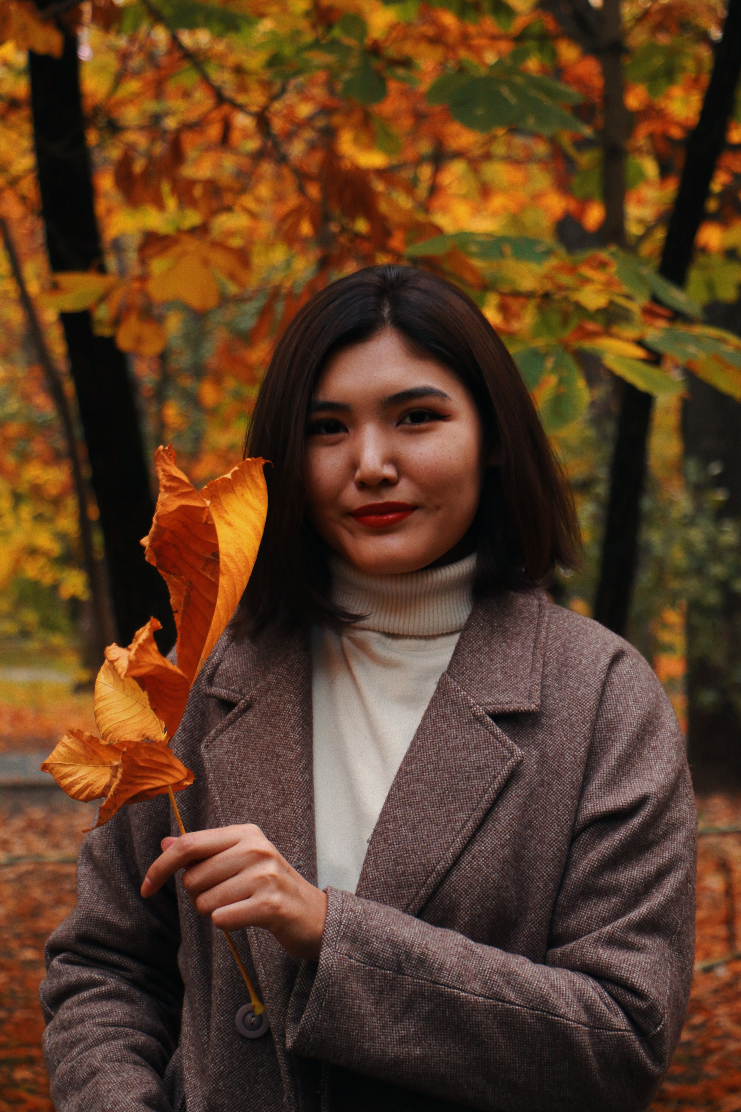 Asya|autumn