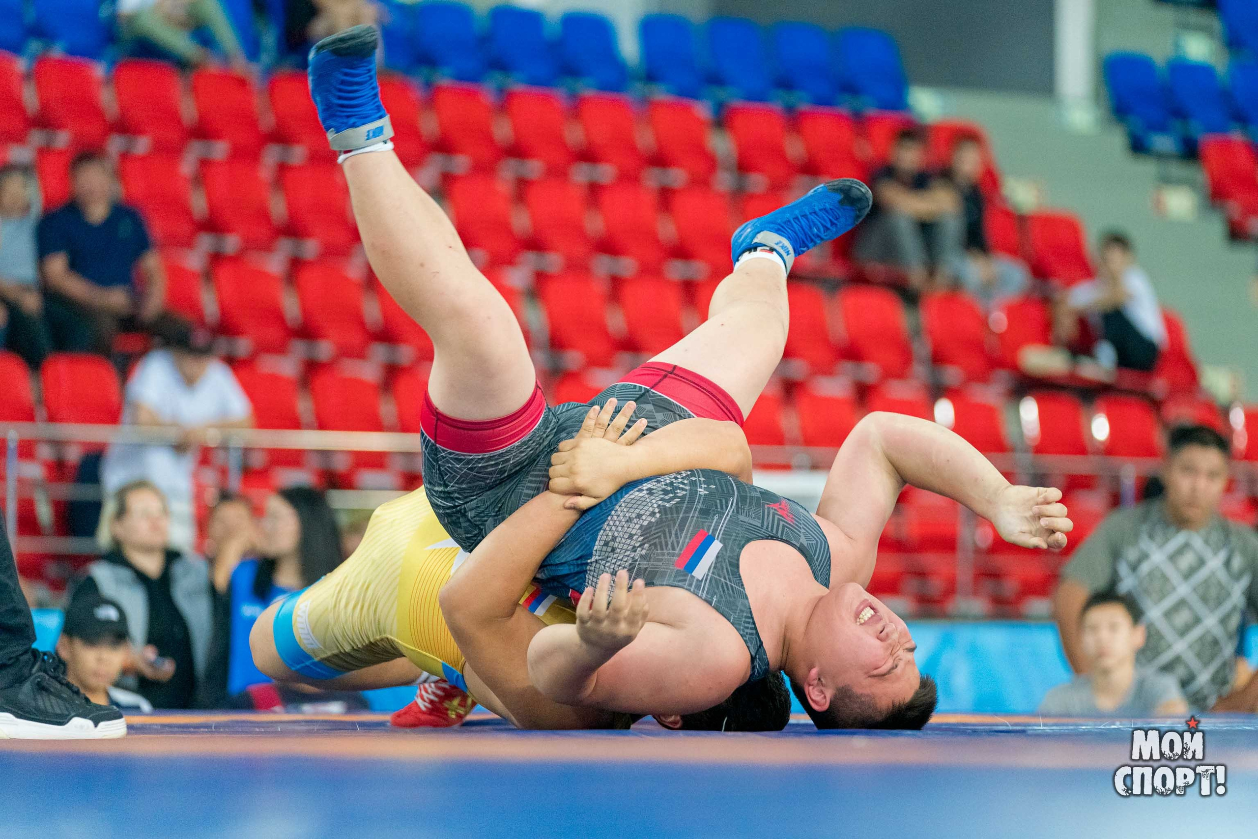 Соревнования по вольной борьбе в честь П. П. Пинигина. Студия «Мой Спорт!» — все о спорте в Якутии