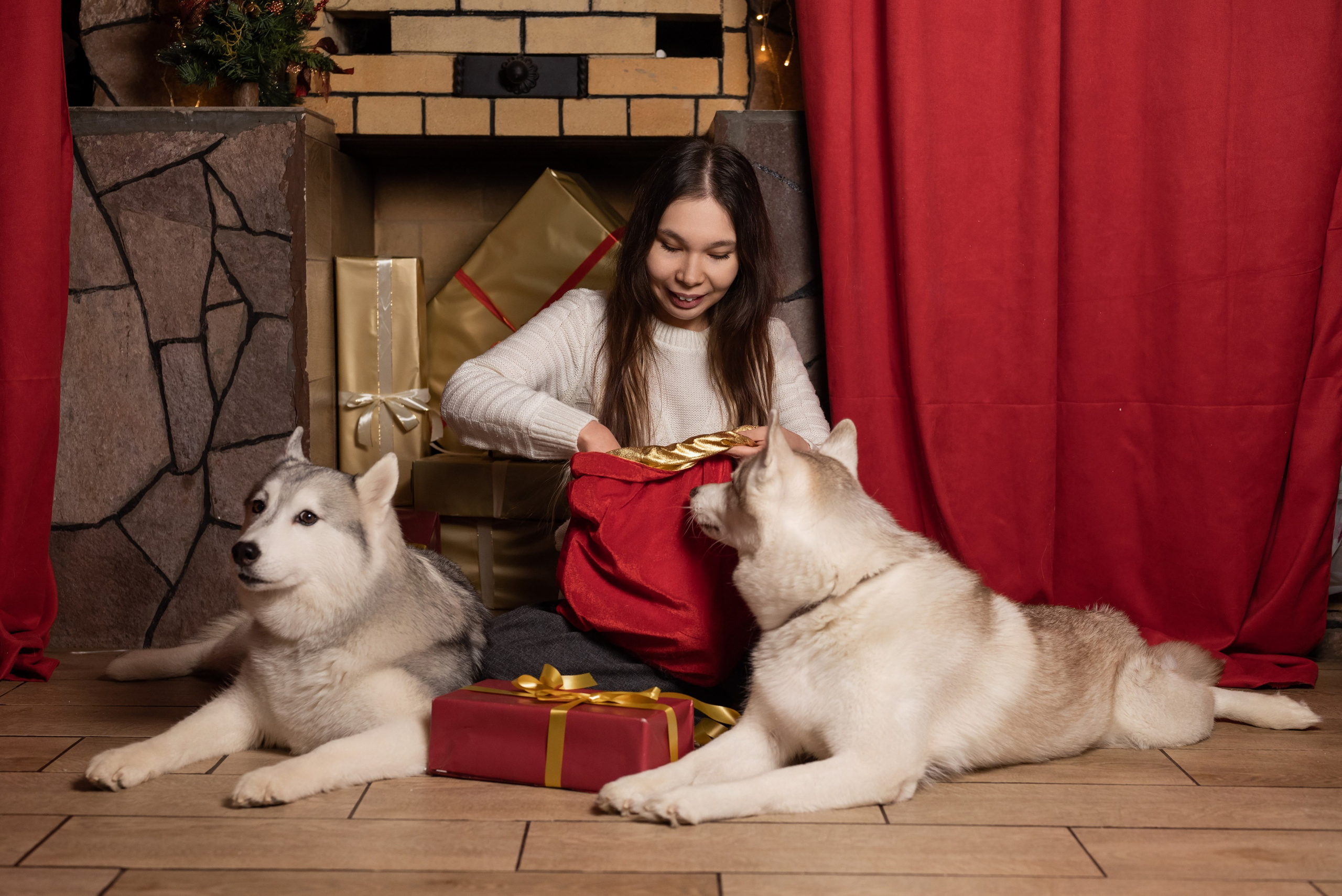 Фотопроект с хаски в частном доме. Фотограф в городе Салават