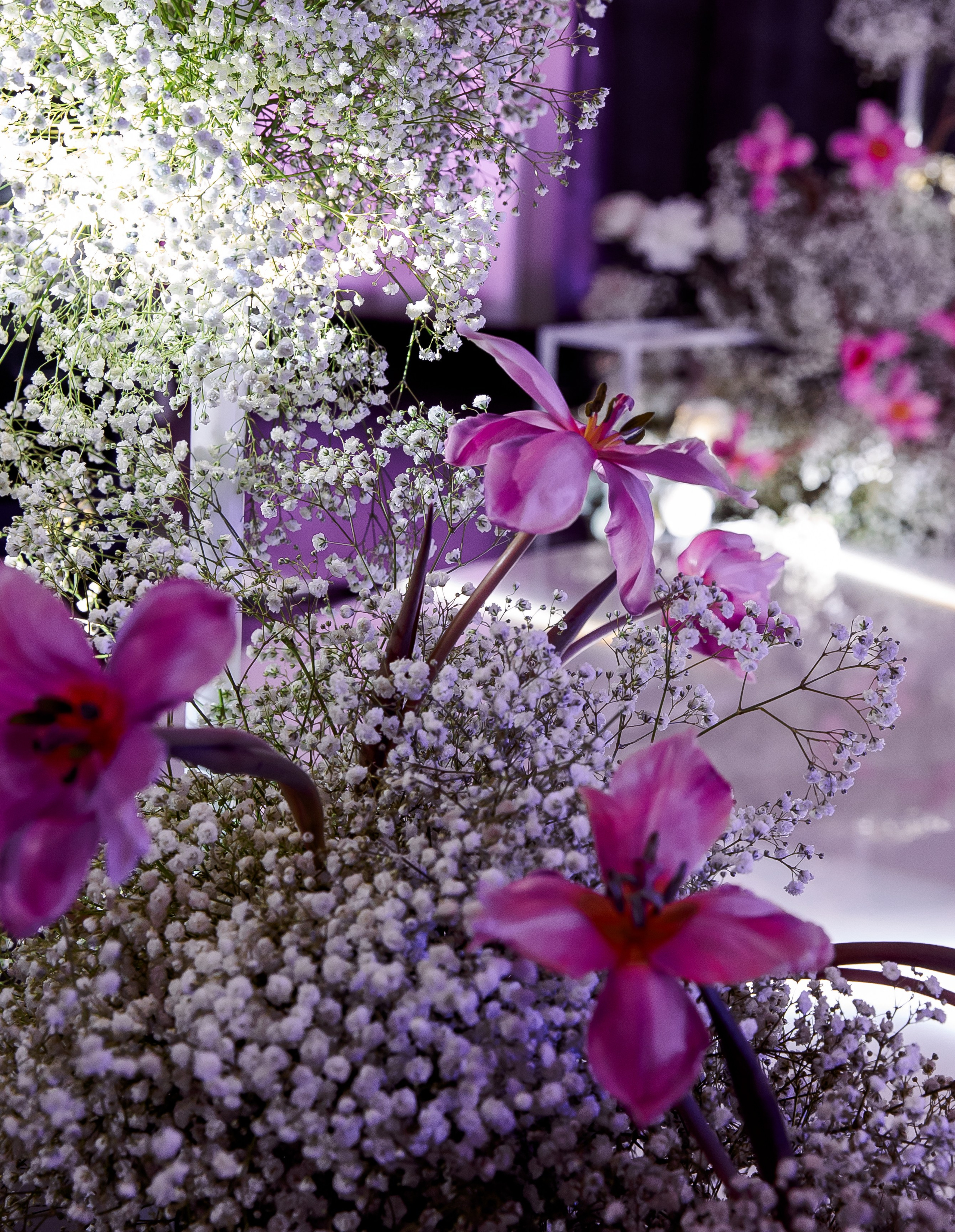 Wedding Fest. Свадебный и семейный фотограф в Челябинске Юлия Ишимова