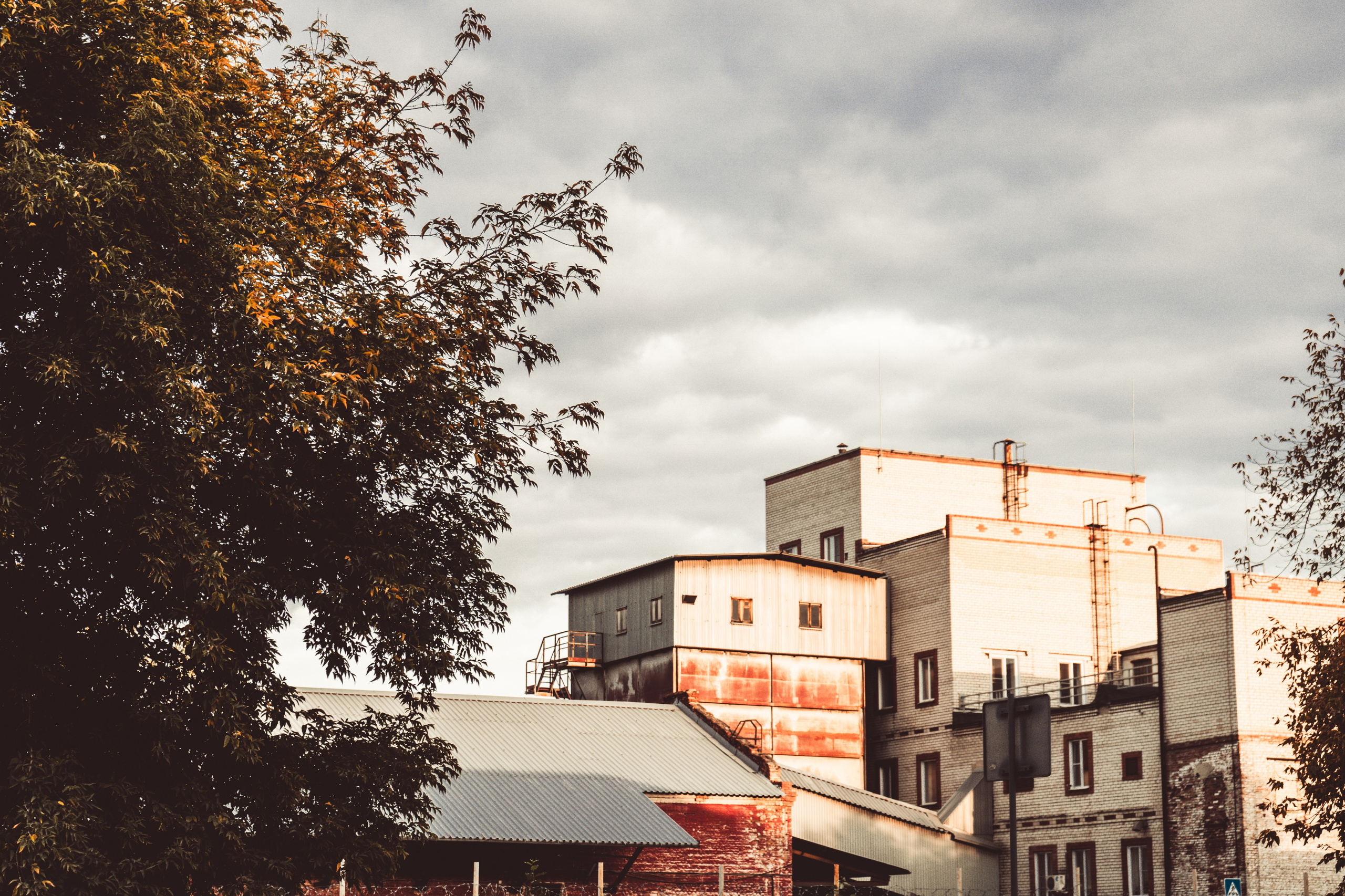 Tender Colors of a Heavy City. Whoii art