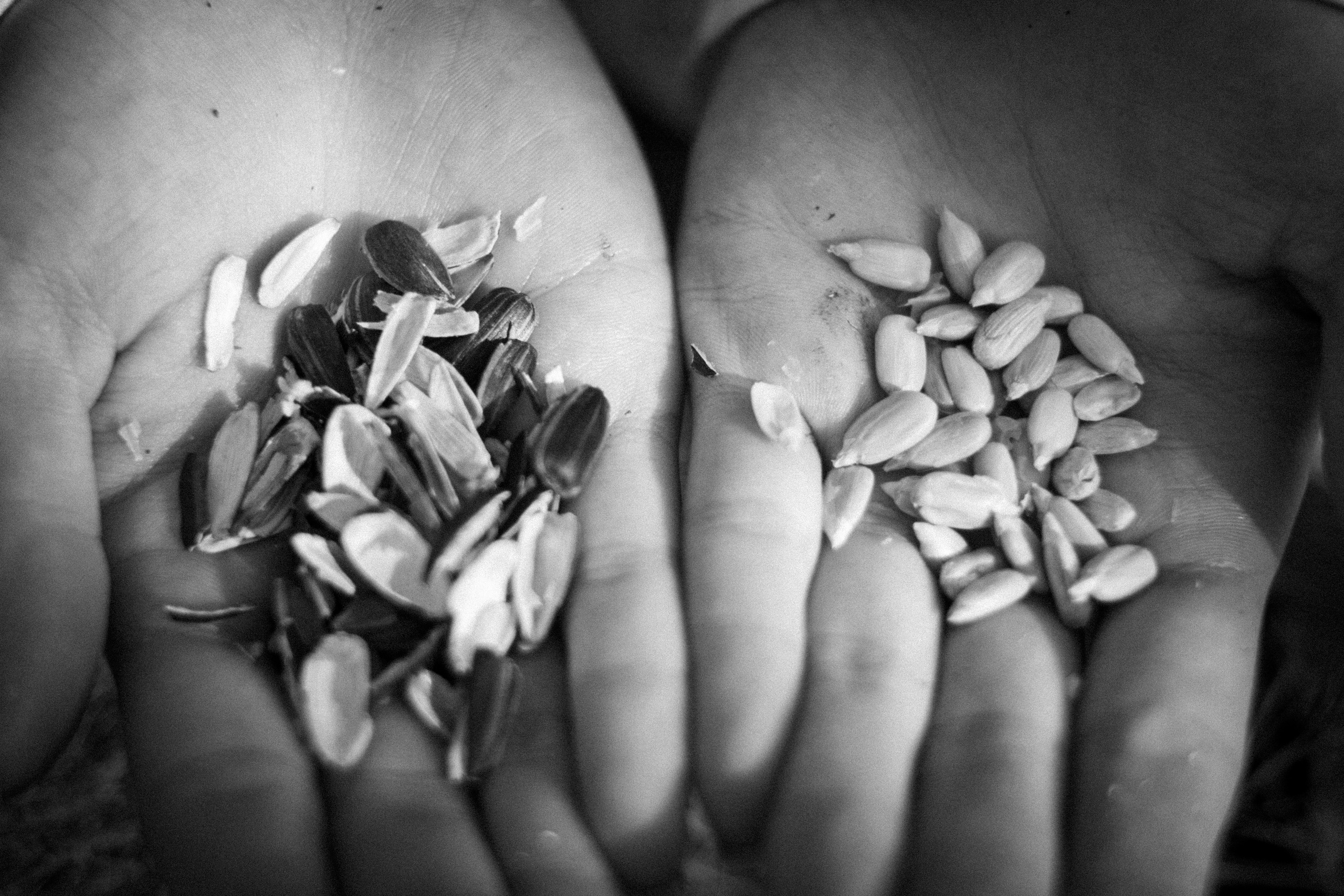 Лето задержалось. • Фотограф Александра Светозар Алчевск •