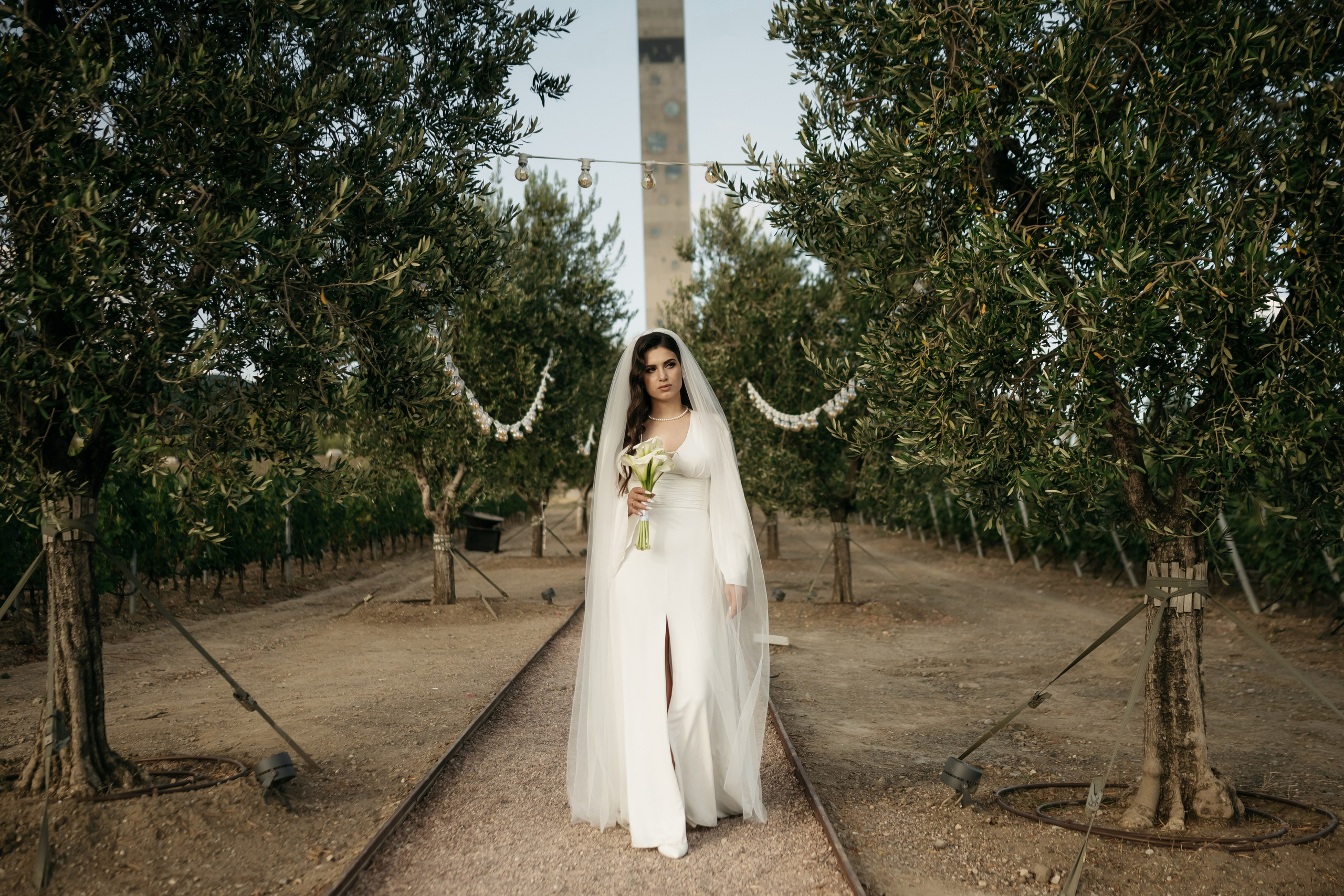 Свадьба в Винном парке в Крыму. Свадебный и семейный фотограф и видеограф, Крым, Москва, Санкт -Петербург