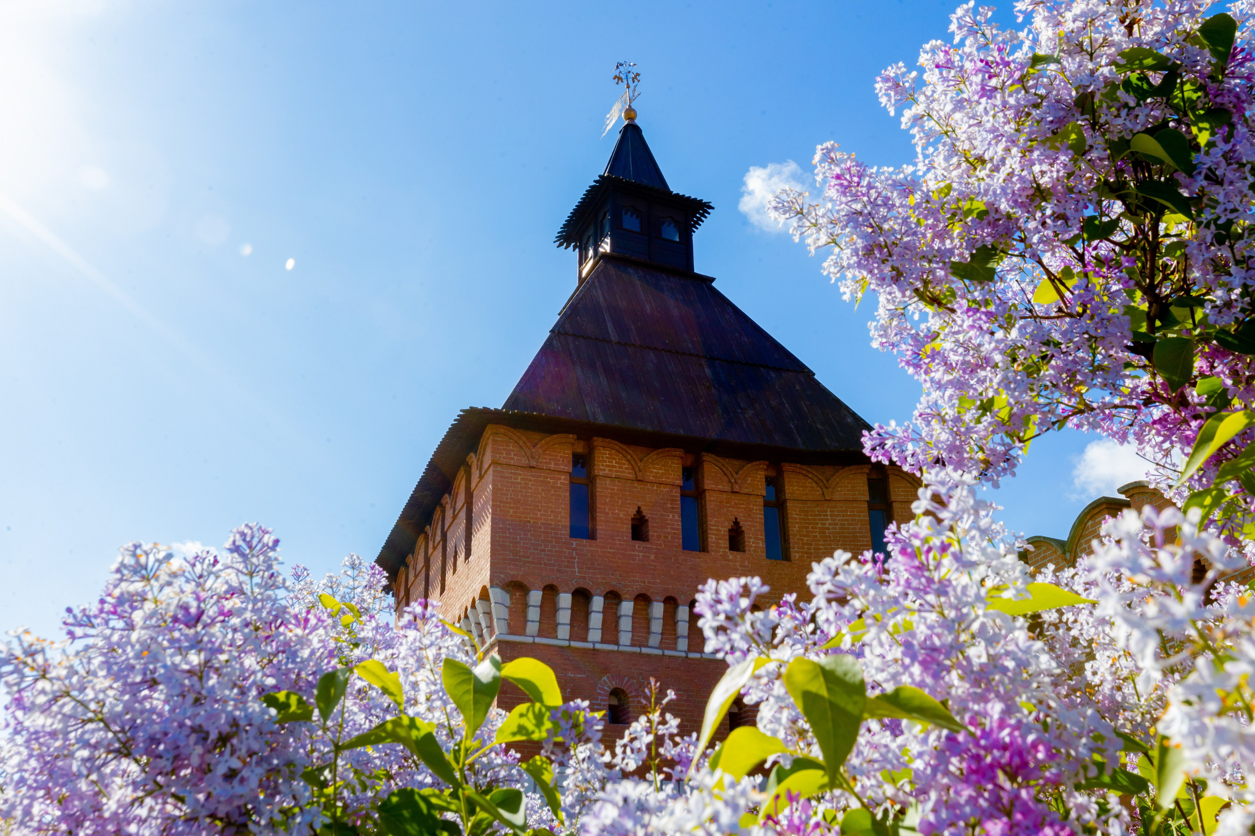 Весеннее цветение в Туле. Фотограф в Туле Крупский АнДРей. Фотостудия «КАДР71» в Туле