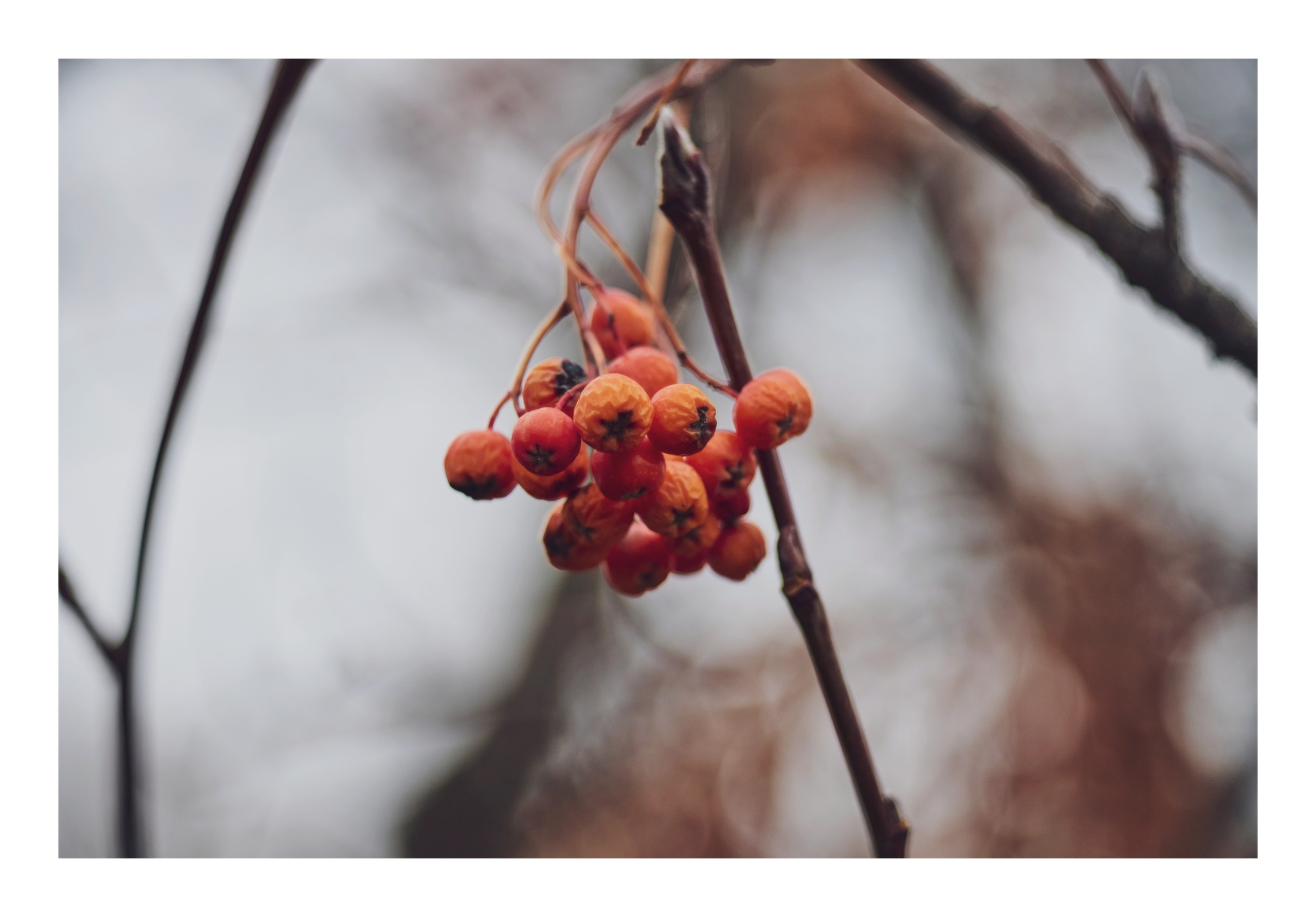 Фотопринты А3. Фотопроект «Территории»