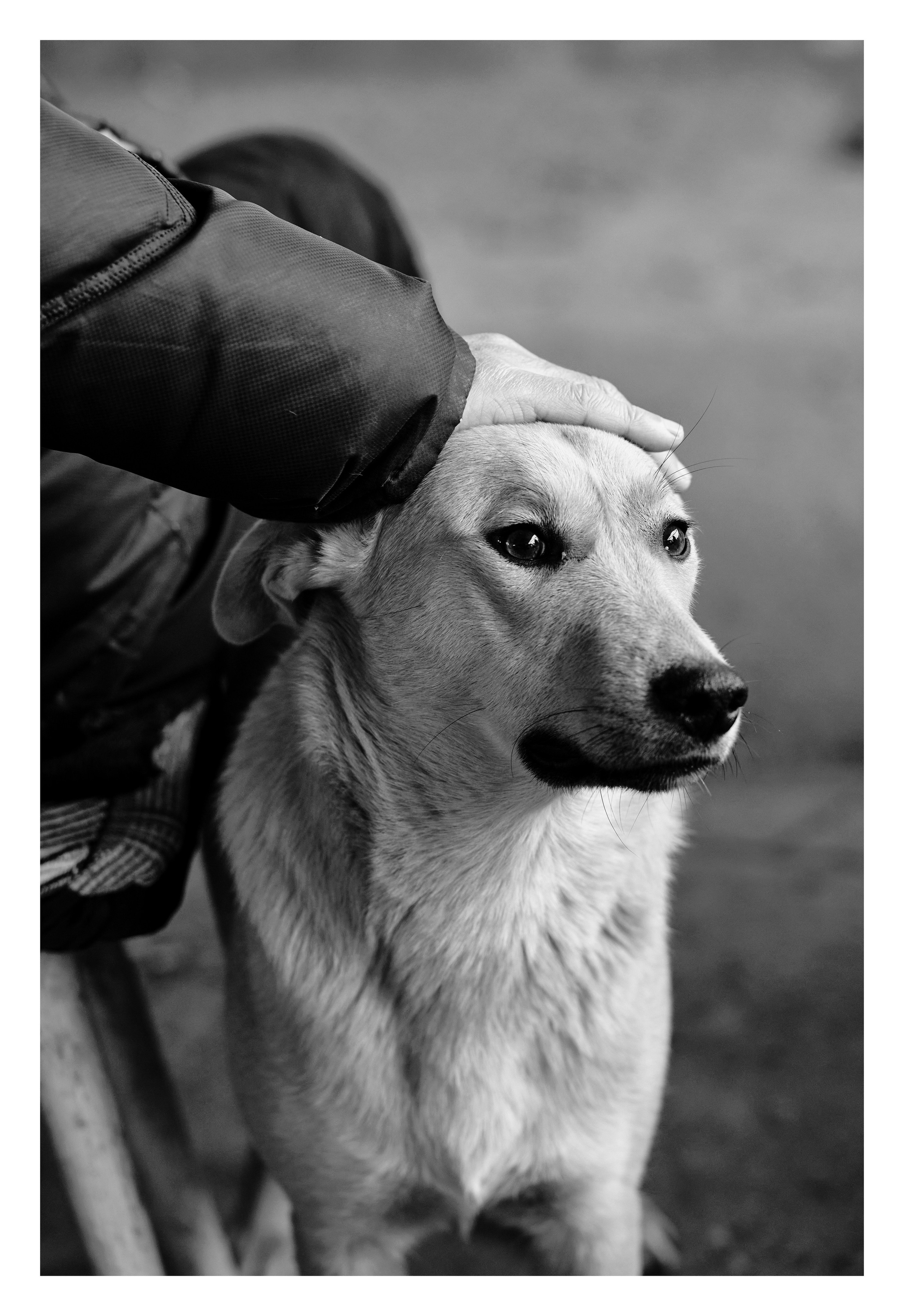 Фотопринты А3. Фотопроект «Территории»