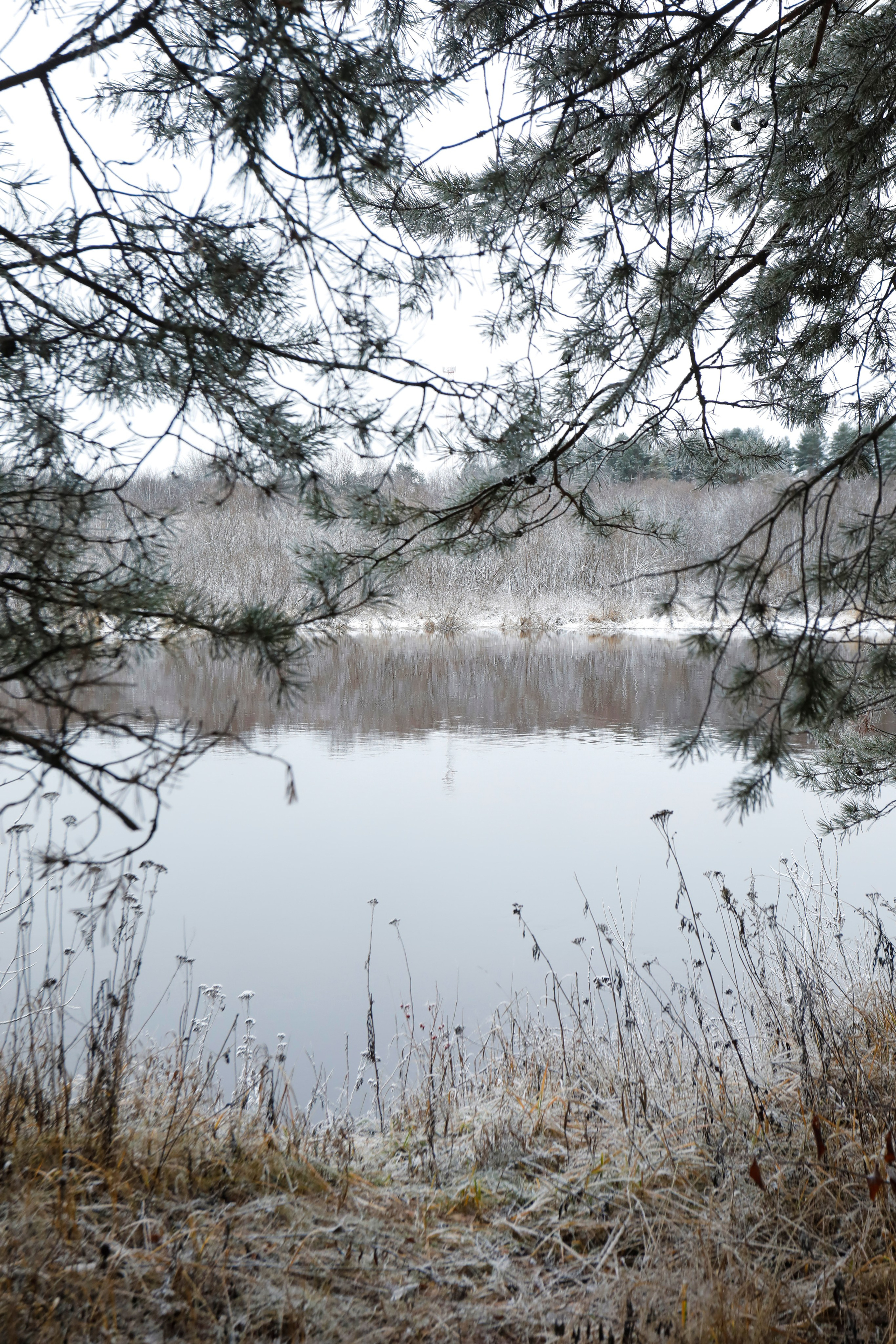 Editorials. Elizabeth Marriott