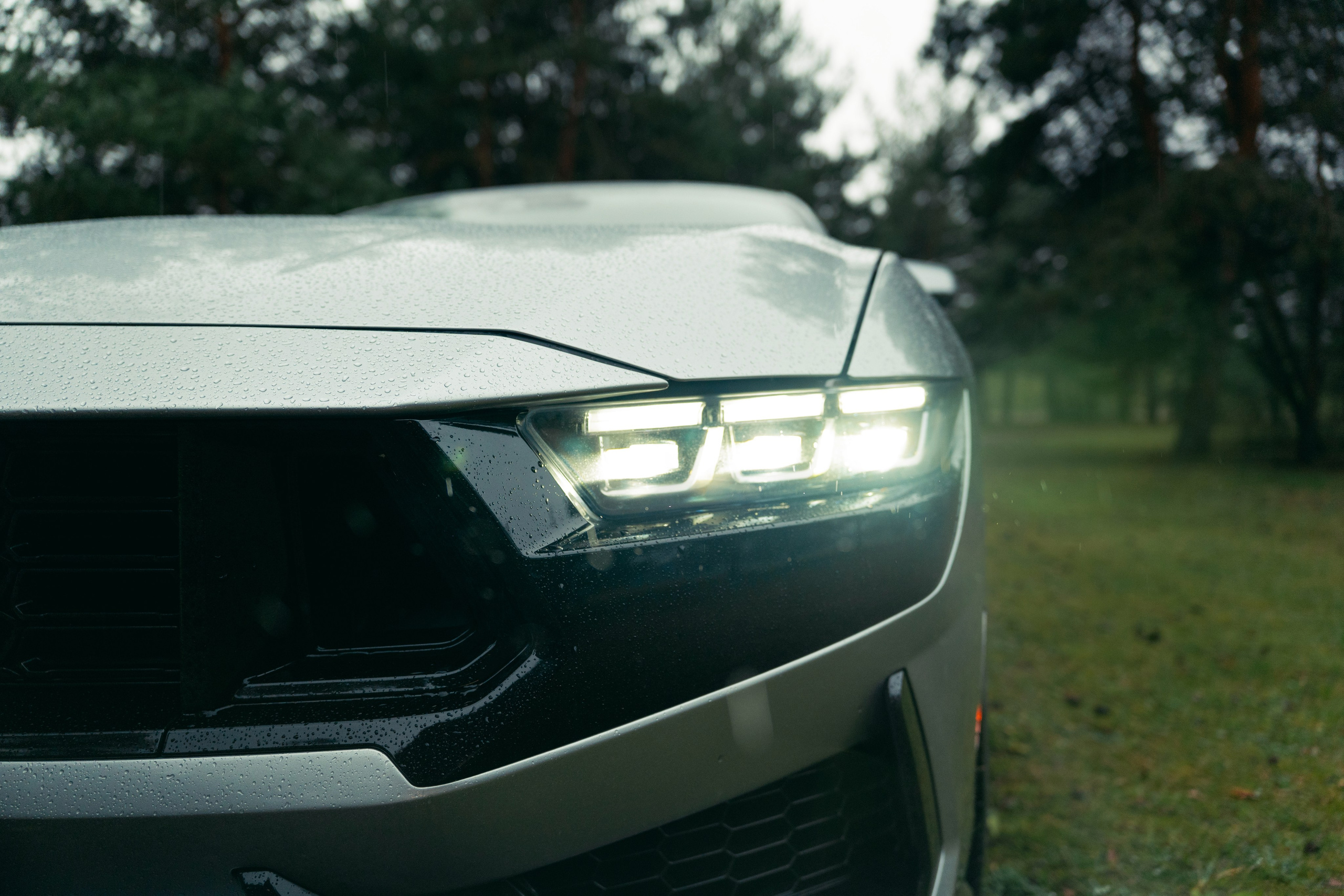 Фотографии Ford Mustang