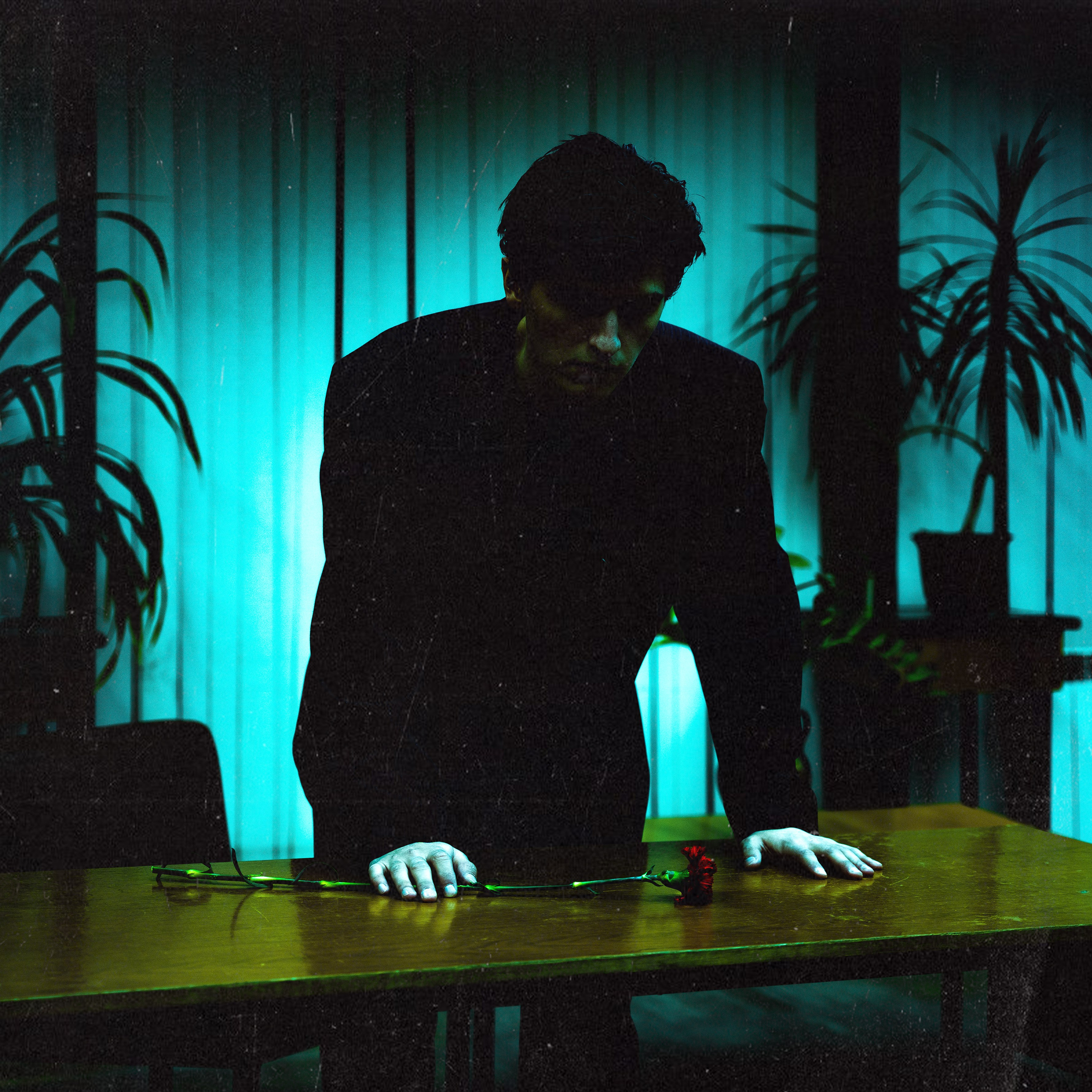 CARNATION IN HAND. TUTSARKIS — Art Director | Stylist | Photographer