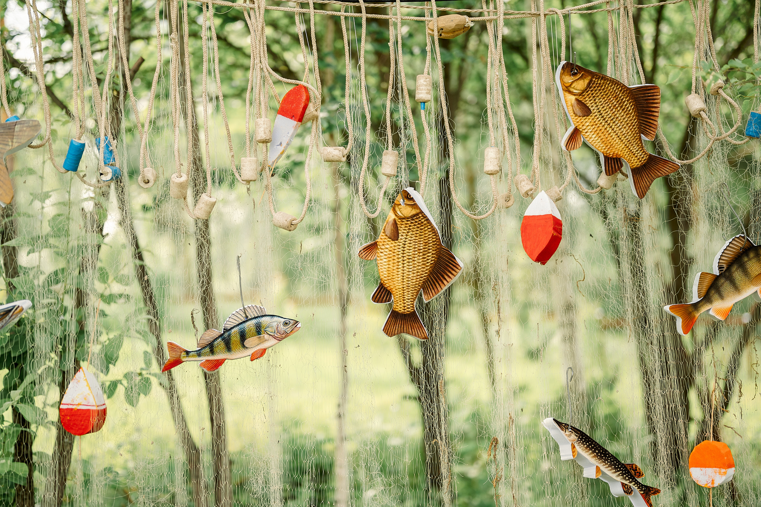 Юбилей Алексея. Семейный, свадебный, школьный фотограф в Железногорске Целуев Андрей