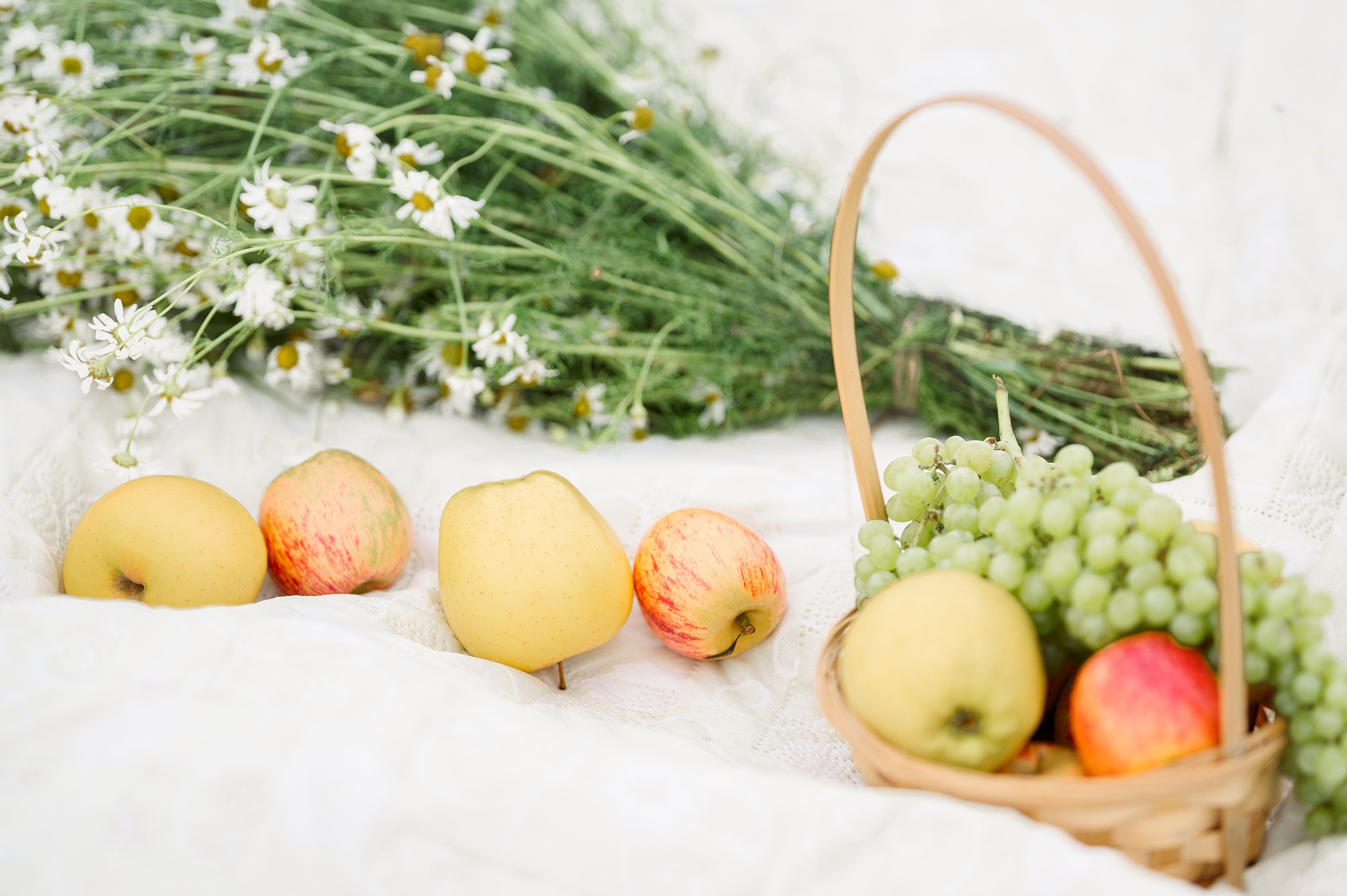 Семья Черкашенных. Семейный, свадебный, школьный фотограф в Железногорске Целуев Андрей