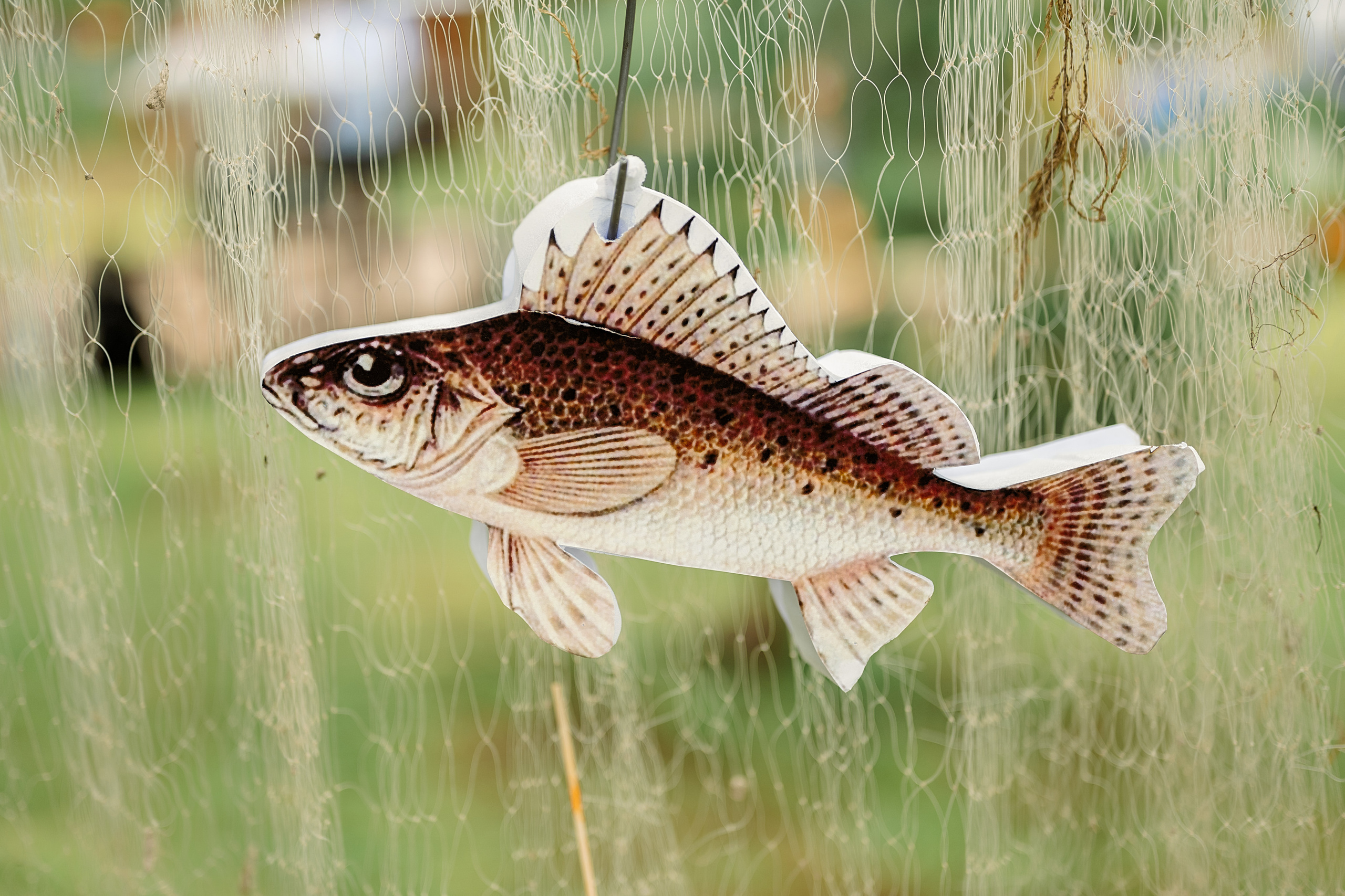 Юбилей Алексея. Семейный, свадебный, школьный фотограф в Железногорске Целуев Андрей