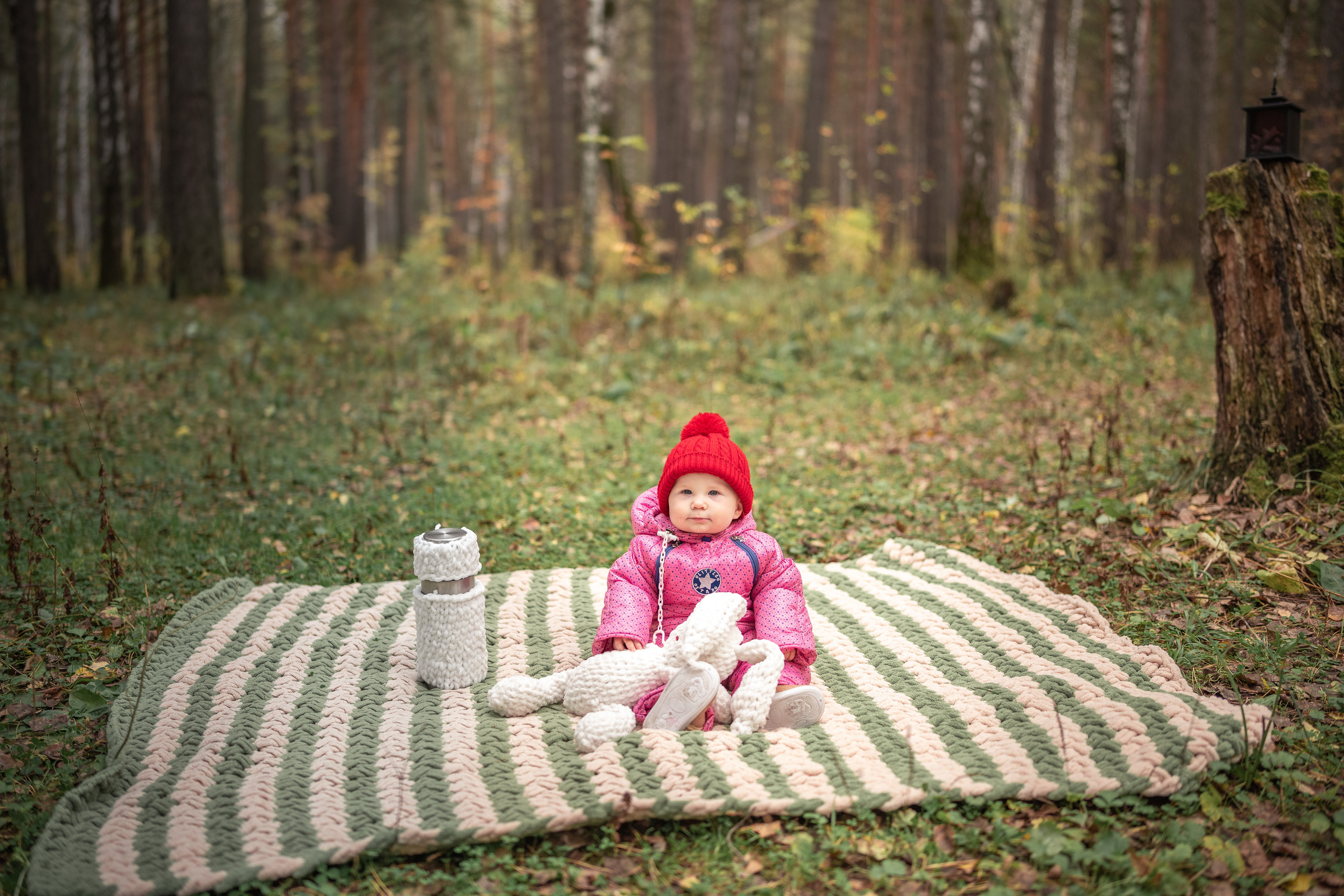 Семья Забоевых. Семейный, свадебный, школьный фотограф в Железногорске Целуев Андрей