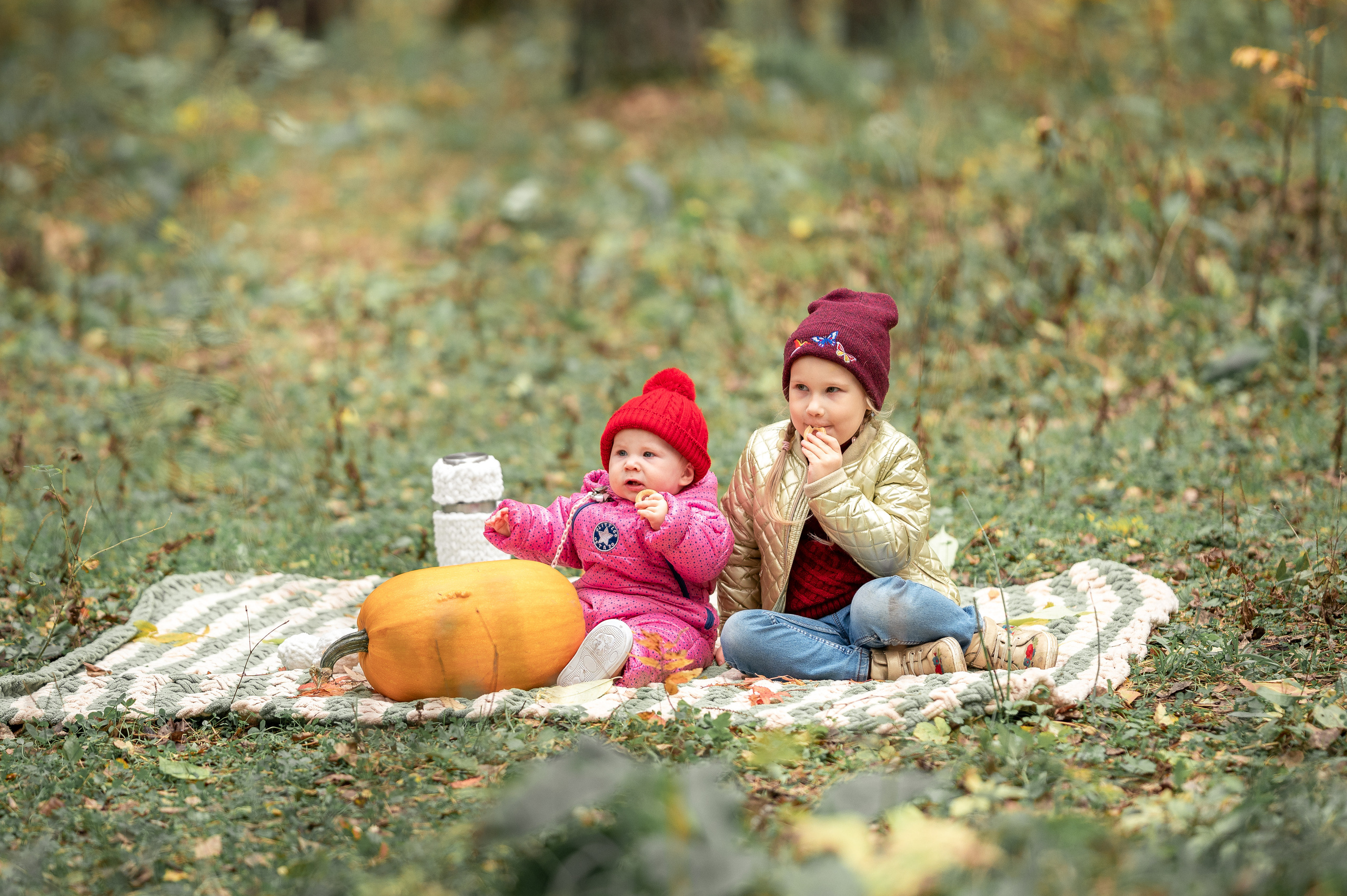 Семья Забоевых. Семейный, свадебный, школьный фотограф в Железногорске Целуев Андрей