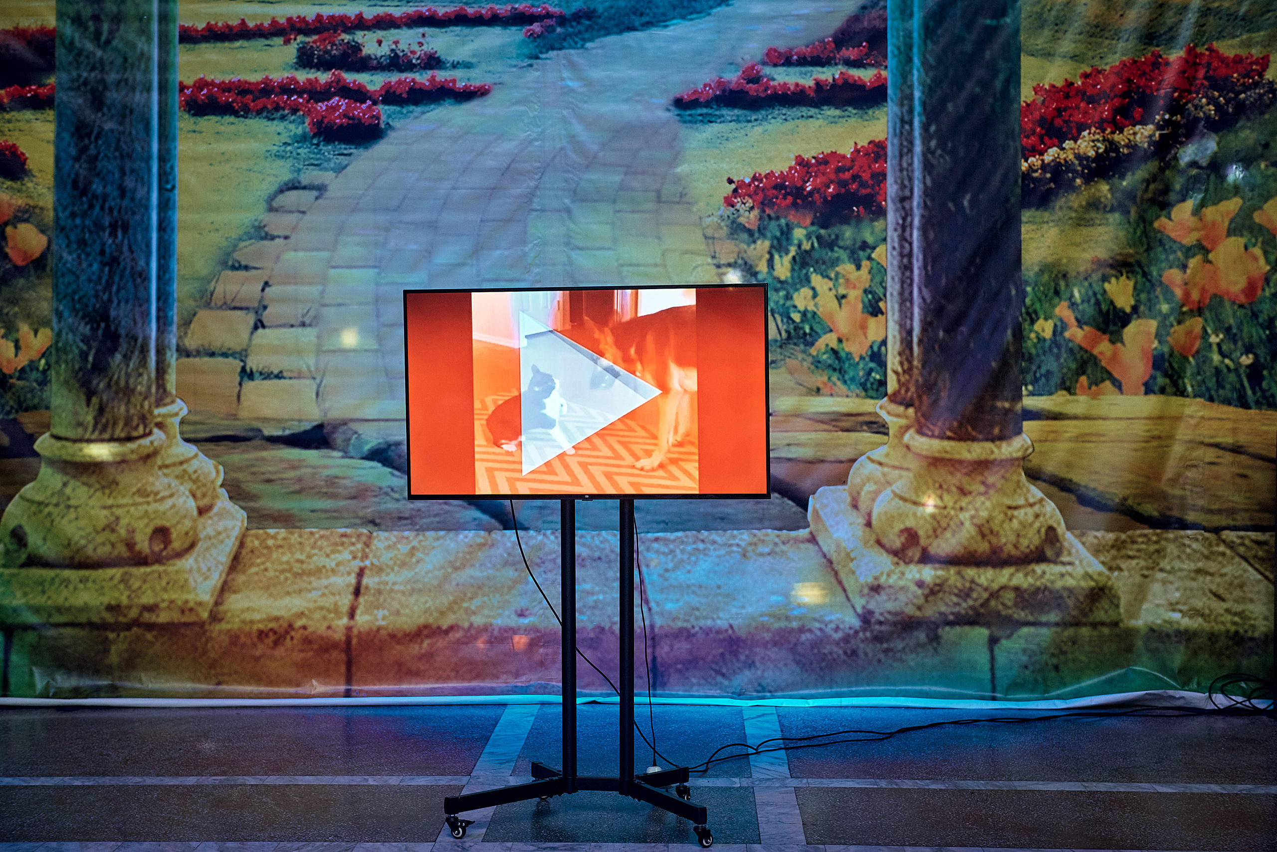 Выпускной 11 кл школа 100 2021 г. Семейный, свадебный, школьный фотограф в Железногорске Целуев Андрей