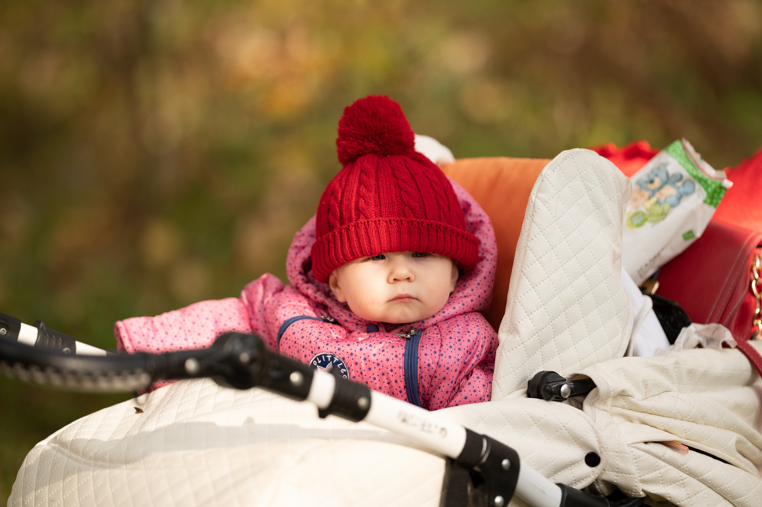 Семья Забоевых. Семейный, свадебный, школьный фотограф в Железногорске Целуев Андрей